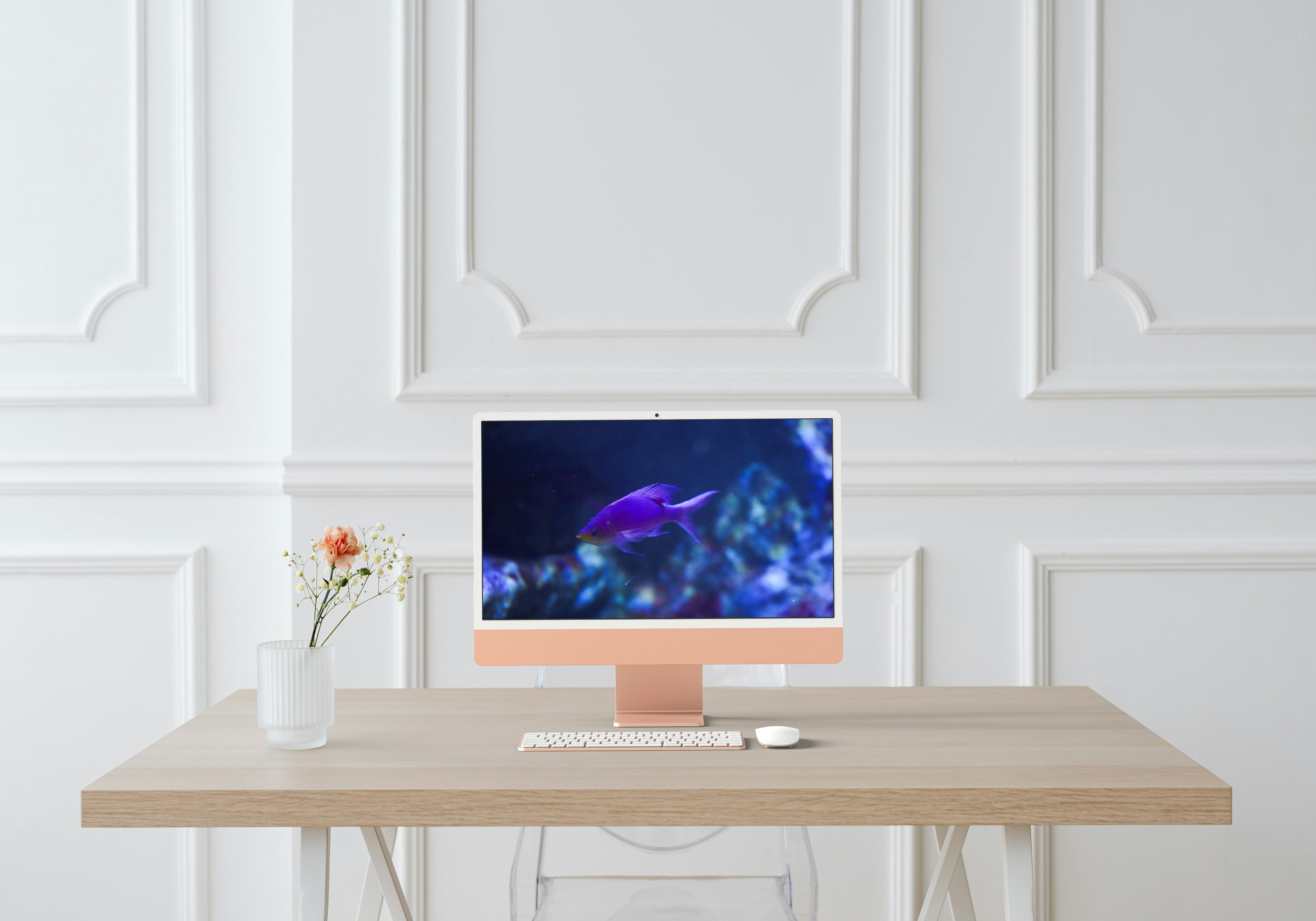 Pseudanthias tuka à travers la lumière