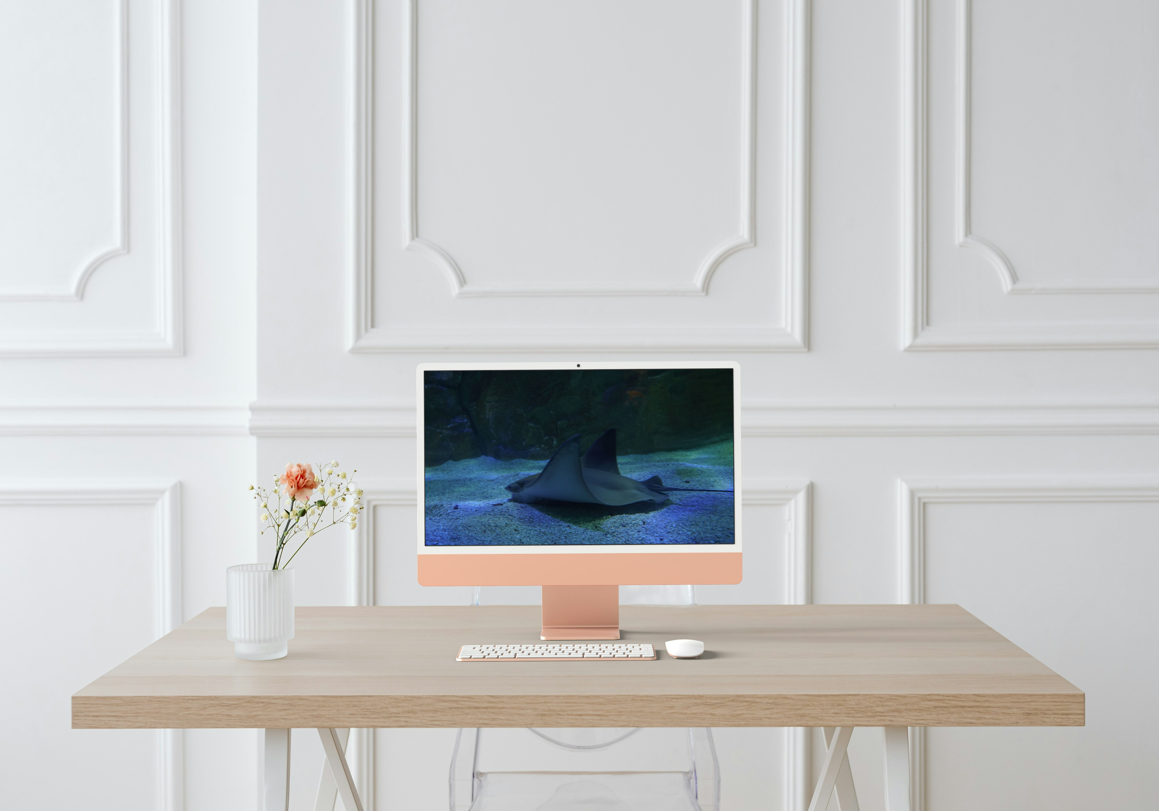 Aile marine – Détail d’une raie en macro à travers le verre