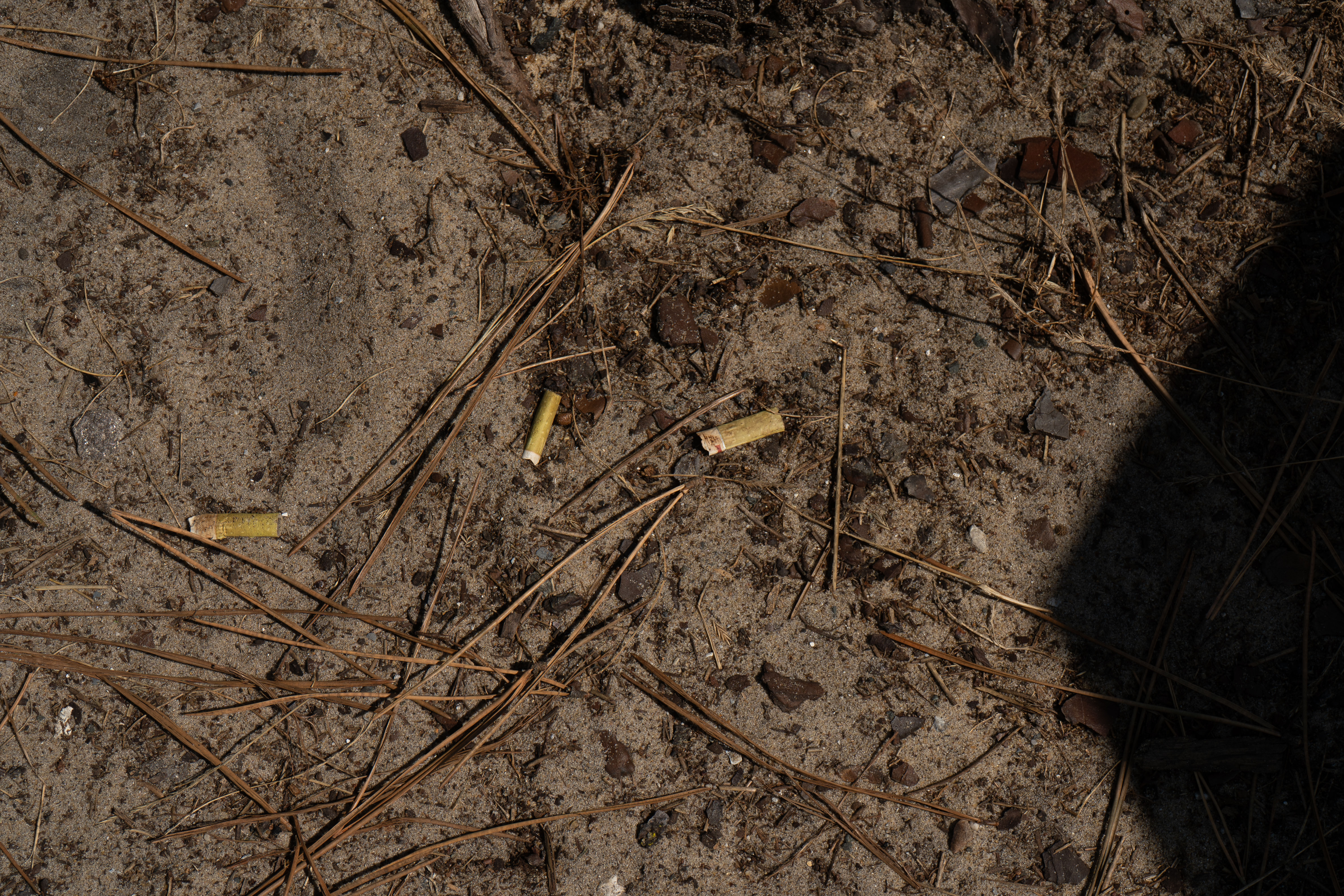 Mégots sur le sable – Traces silencieuses