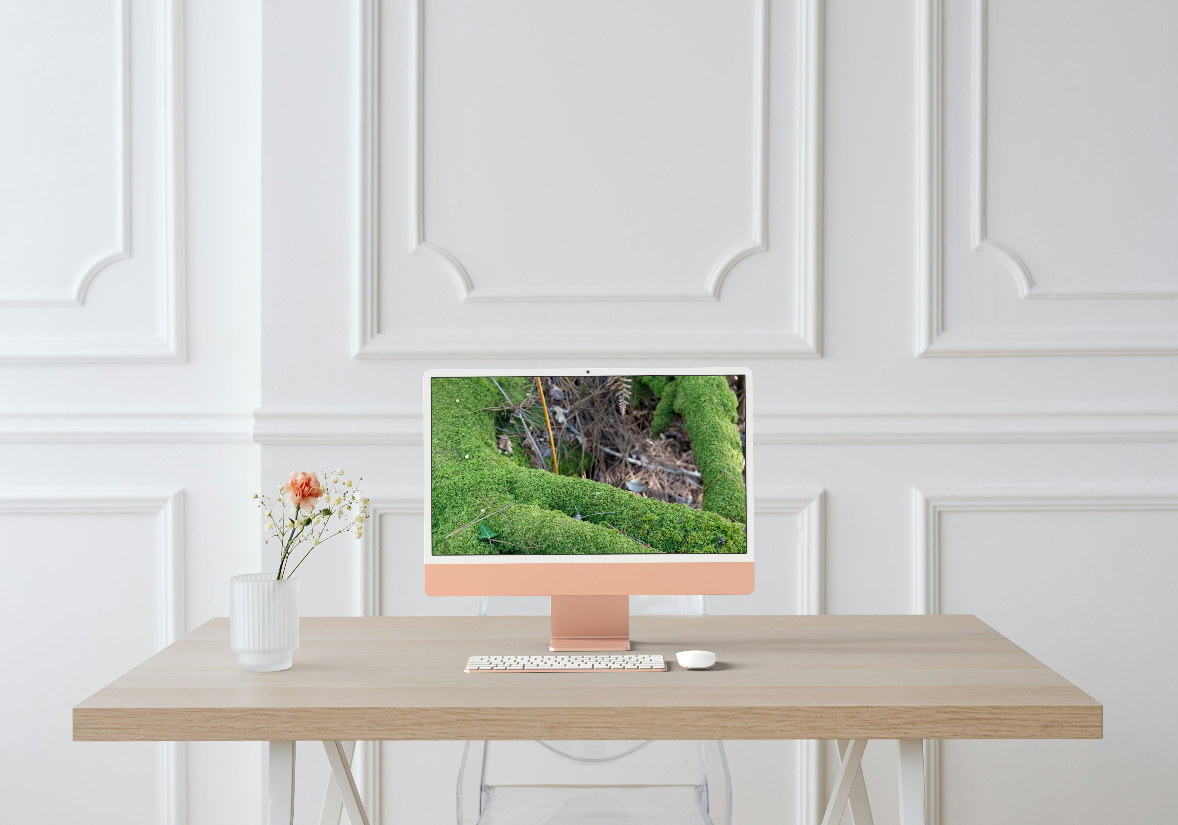 La Main de la Forêt – Racine Moussue du Courant d’Huchet