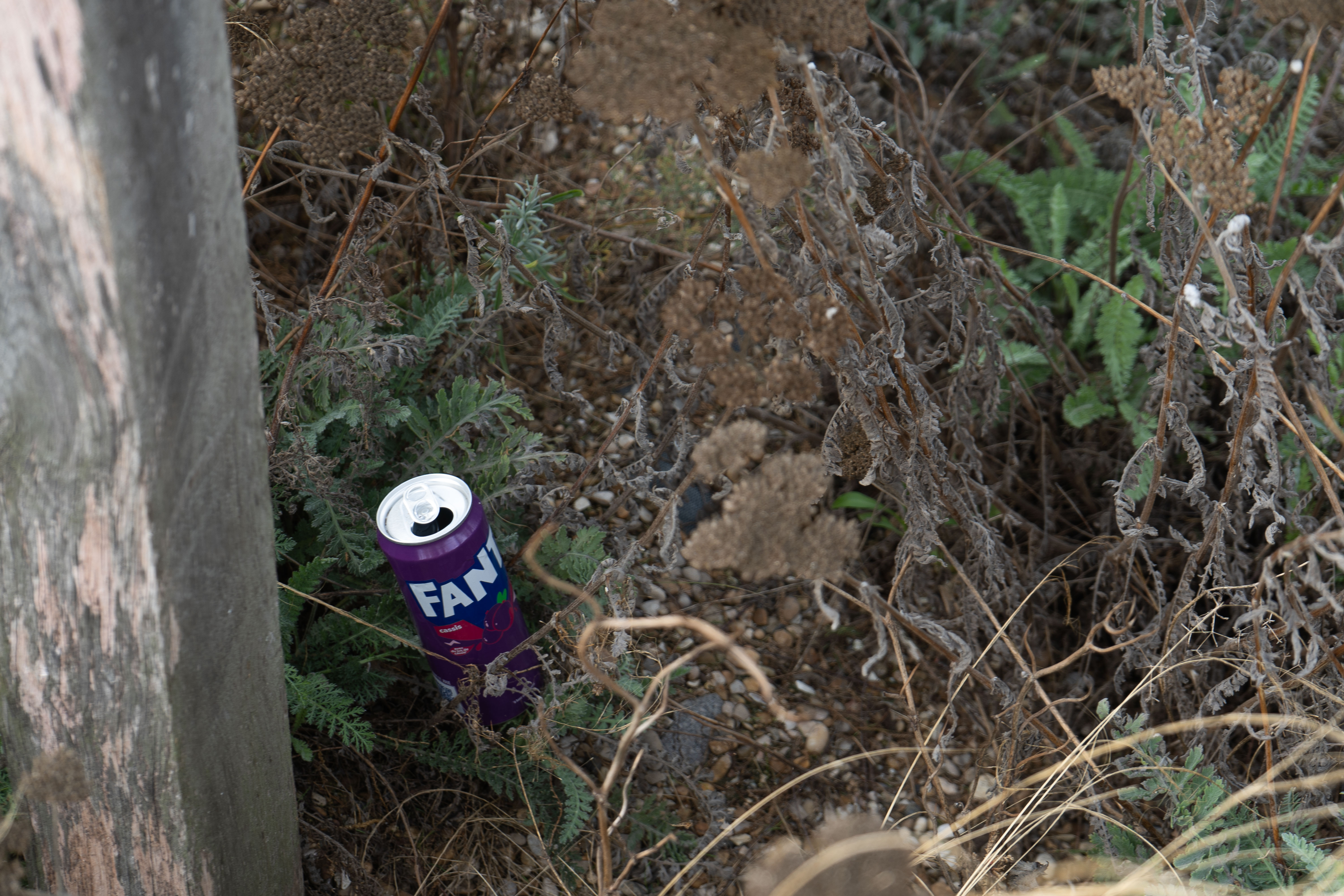 « Déchets Naturels » – Photographie contemporaine