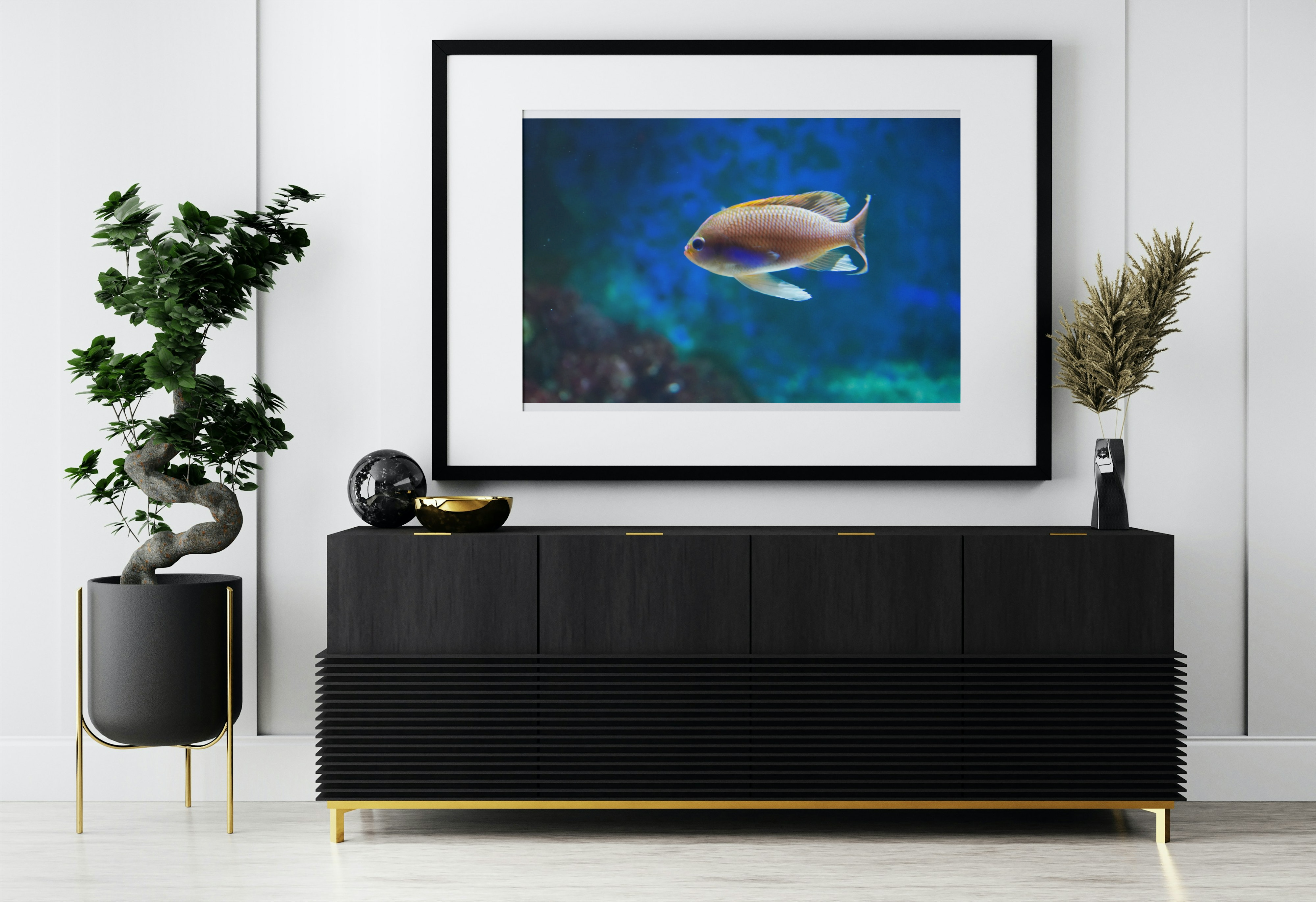 Chromis en Plongée – Instant Marin au Seaquarium du Grau-du-Roi1