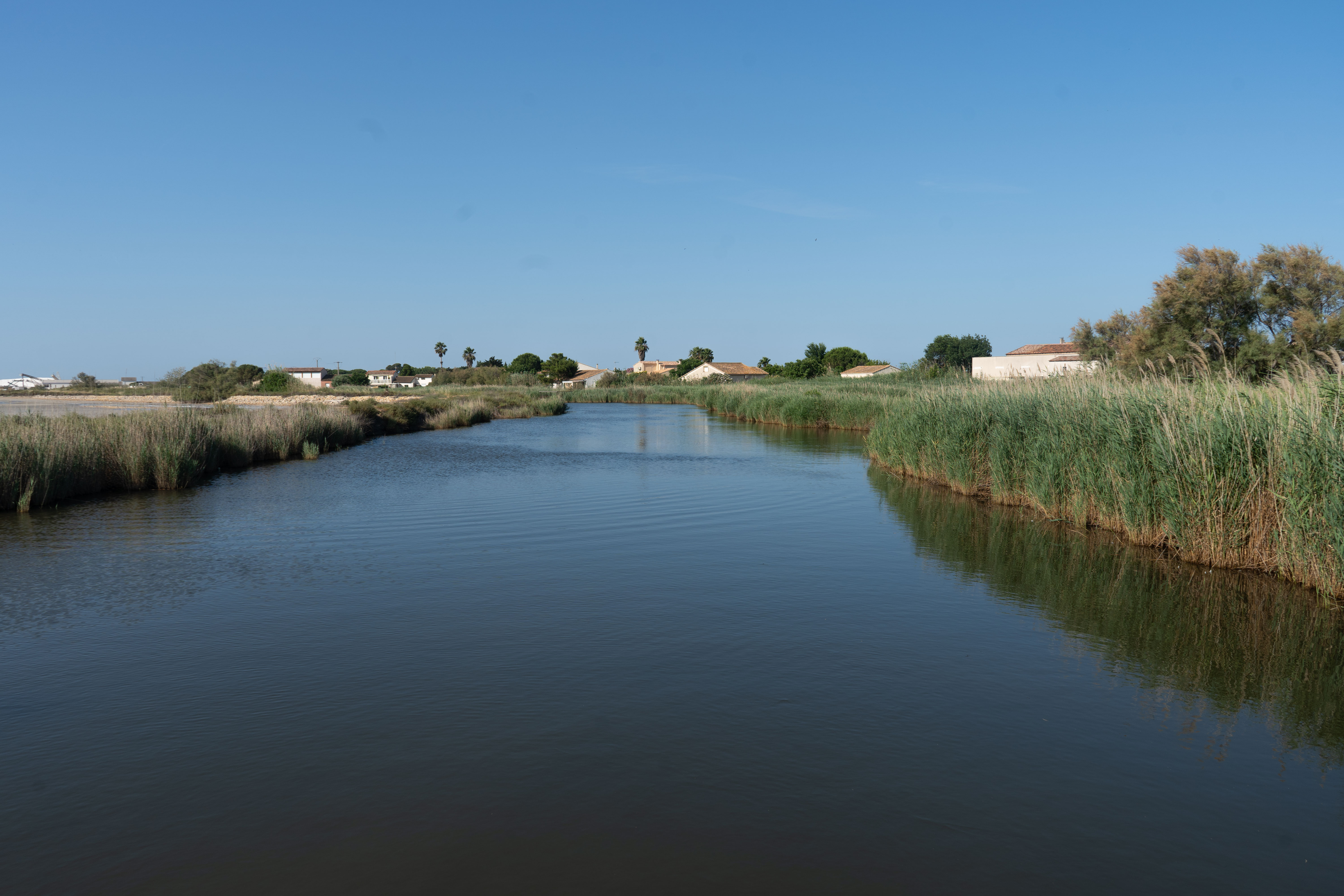 Paysage d'eau à Aigues Mortes