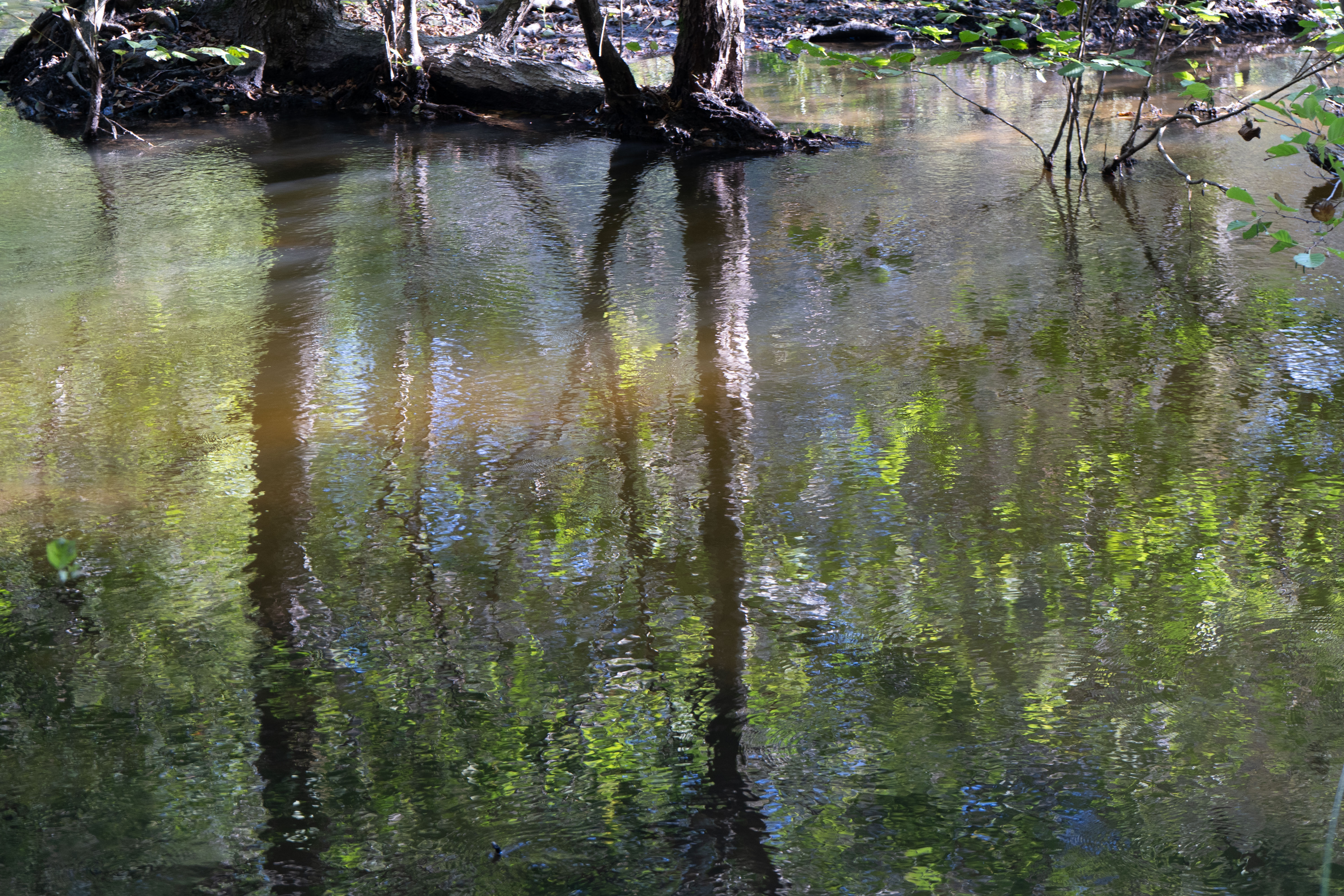 Reflets Impressionnistes sur le Courant d’Huchet – Photographie Artistique