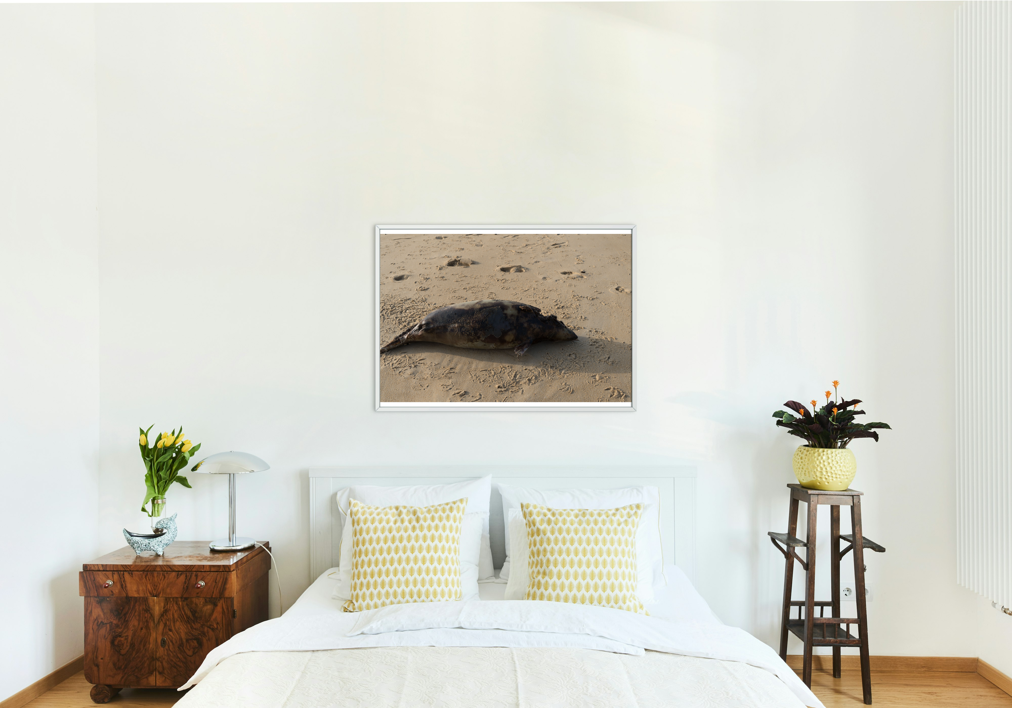 Photo d’art – Bébé phoque sur la plage de Vieux-Boucau, scène émouvante et naturelle