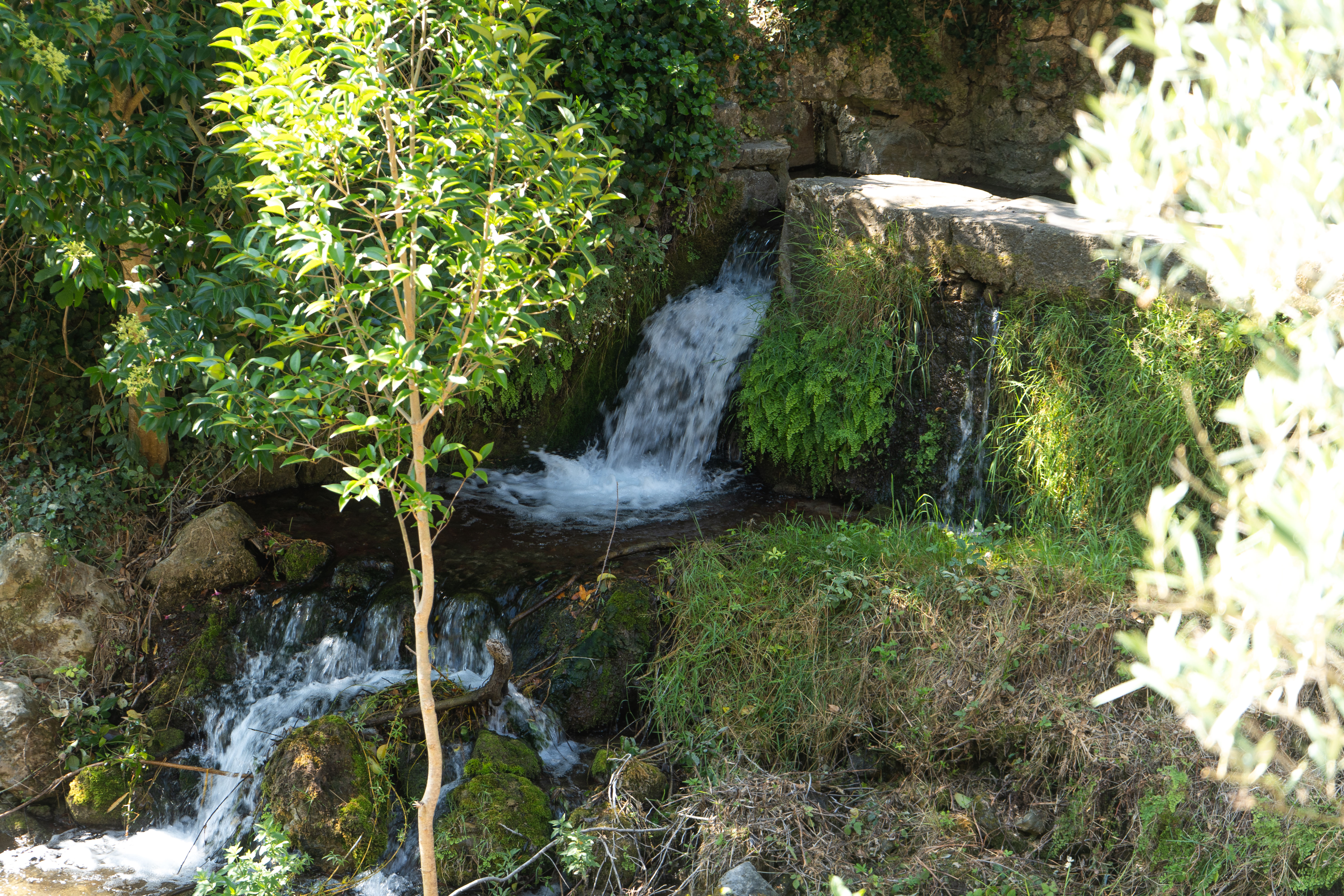 Cascade cachée à Saint-Guilhem-le-Désert