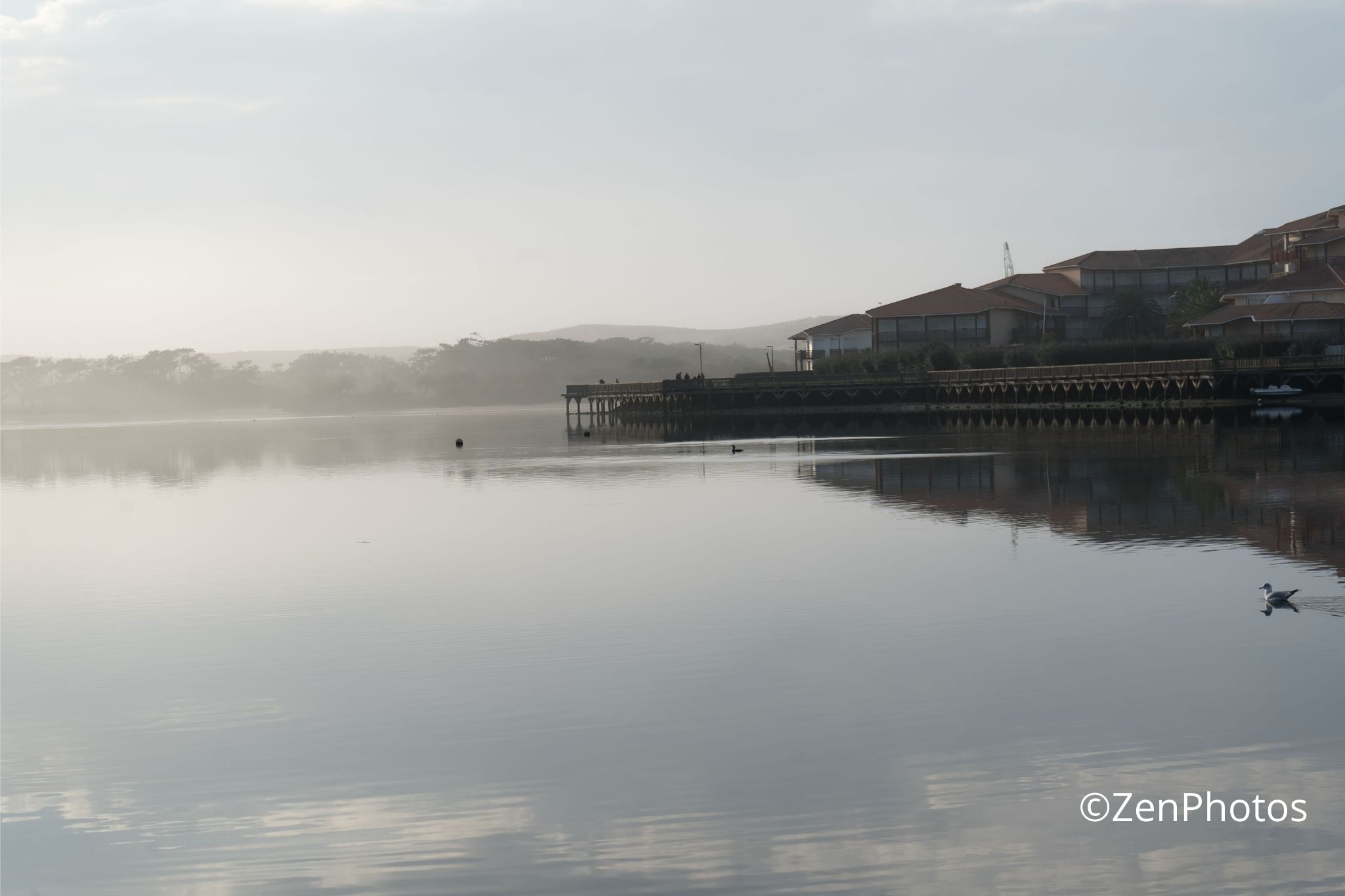 Paysage mystique de Vieux-Boucau dans la brume