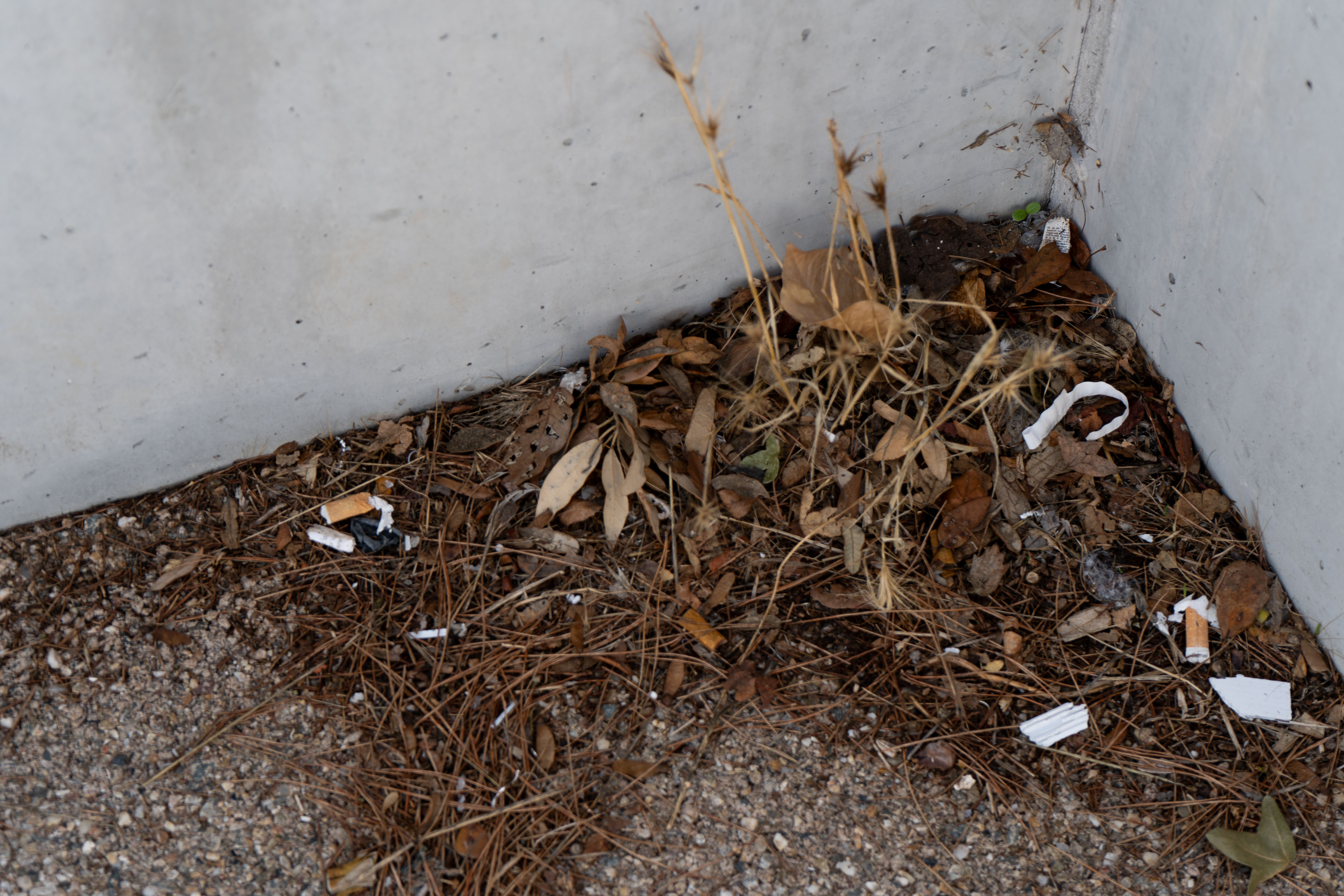 « Recoin Oublié » – Photographie contemporaine environnementale