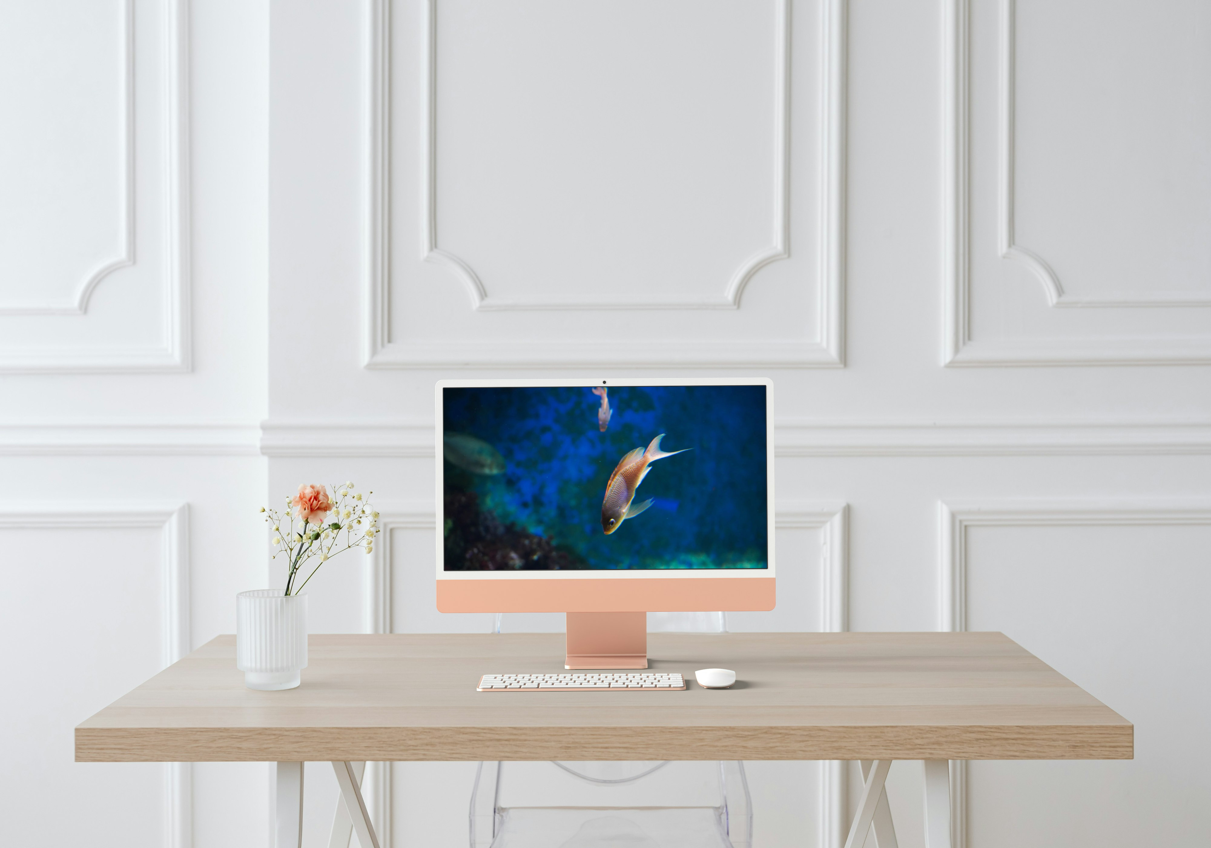 Chromis en Plongée – Instant Marin au Seaquarium du Grau-du-Roi