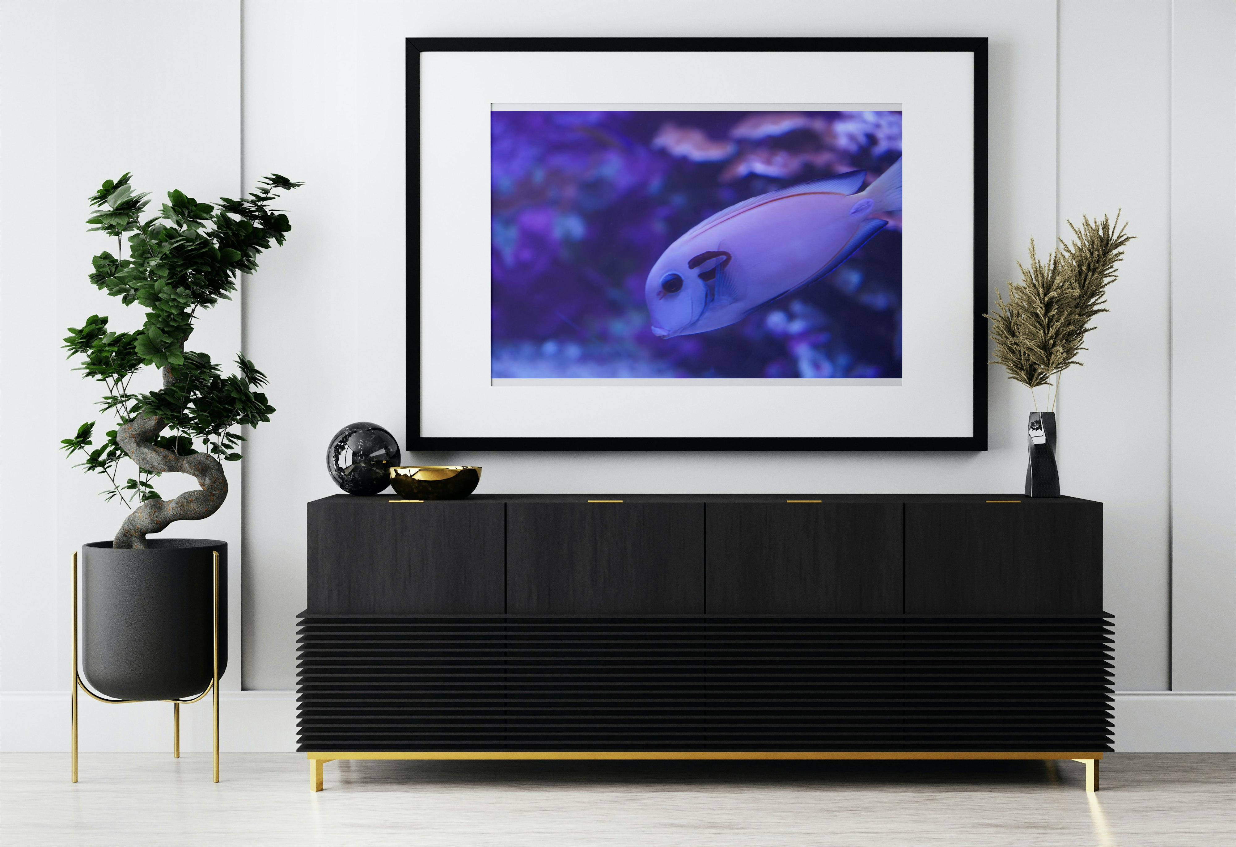  "Commandant des profondeurs" – Photographie macro d’un poisson chirurgien lieutenant