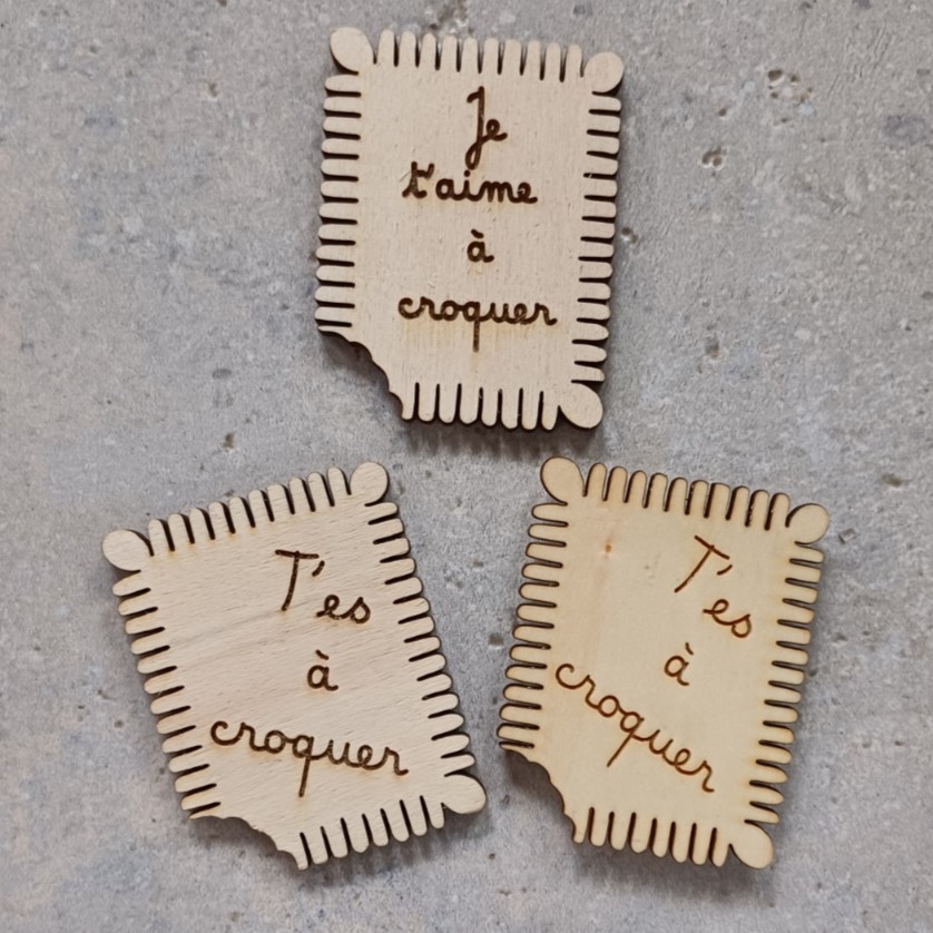 Magnet en forme de biscuit