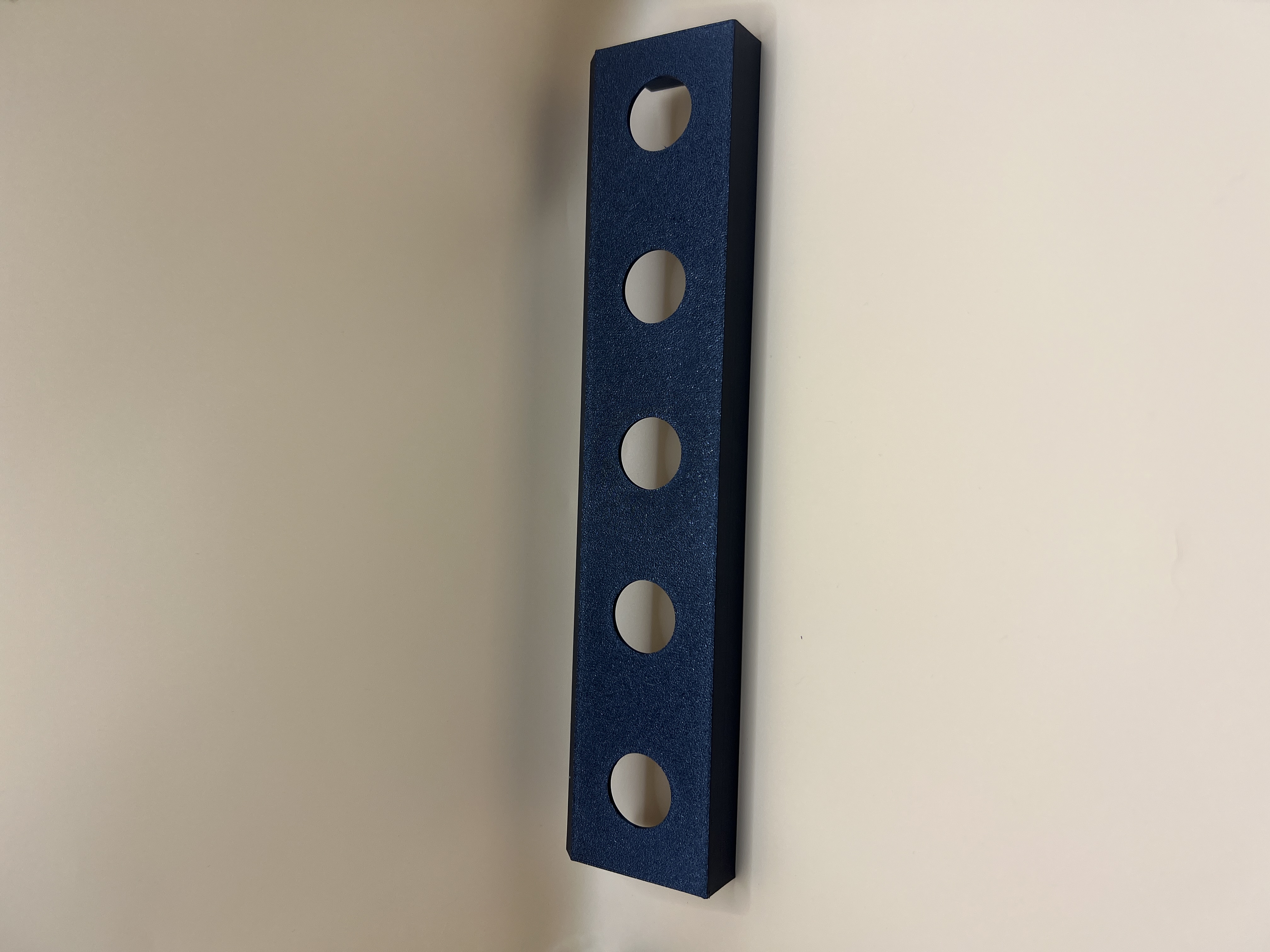 Insert for ECONO Feeder with Lid, 5+ only