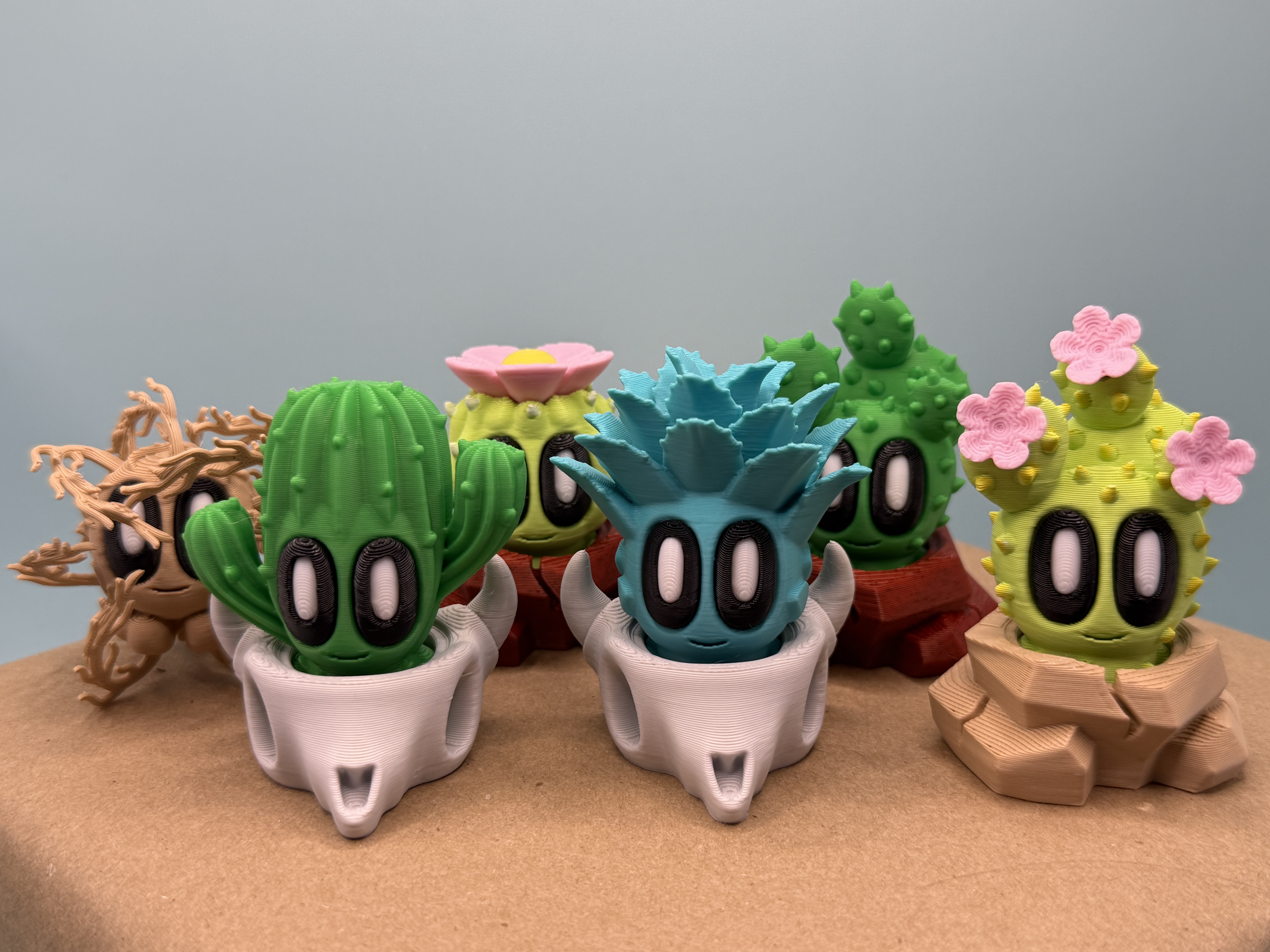 DESERT SERIES - PLANTS