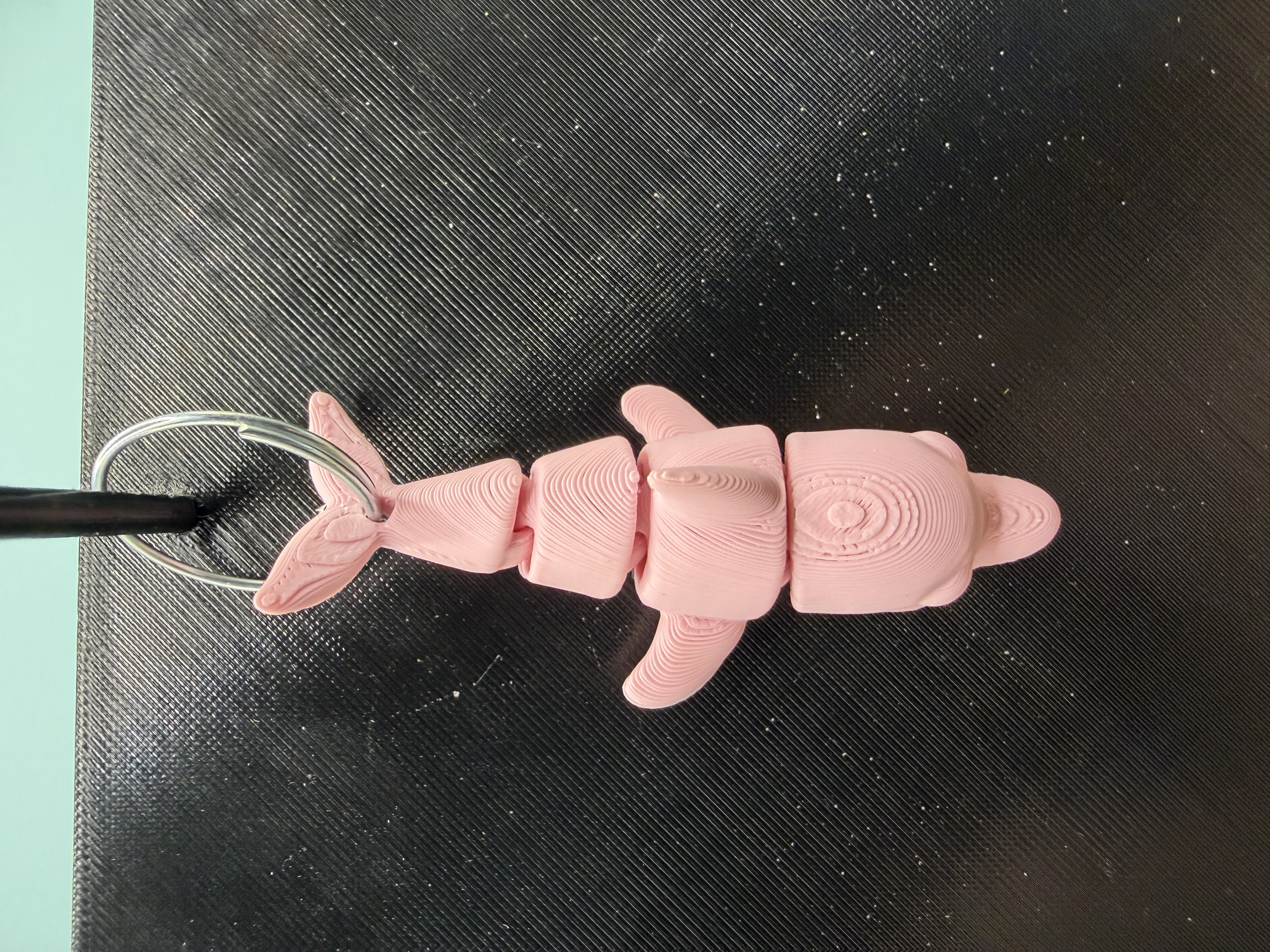 Articulated Pink Dolphin