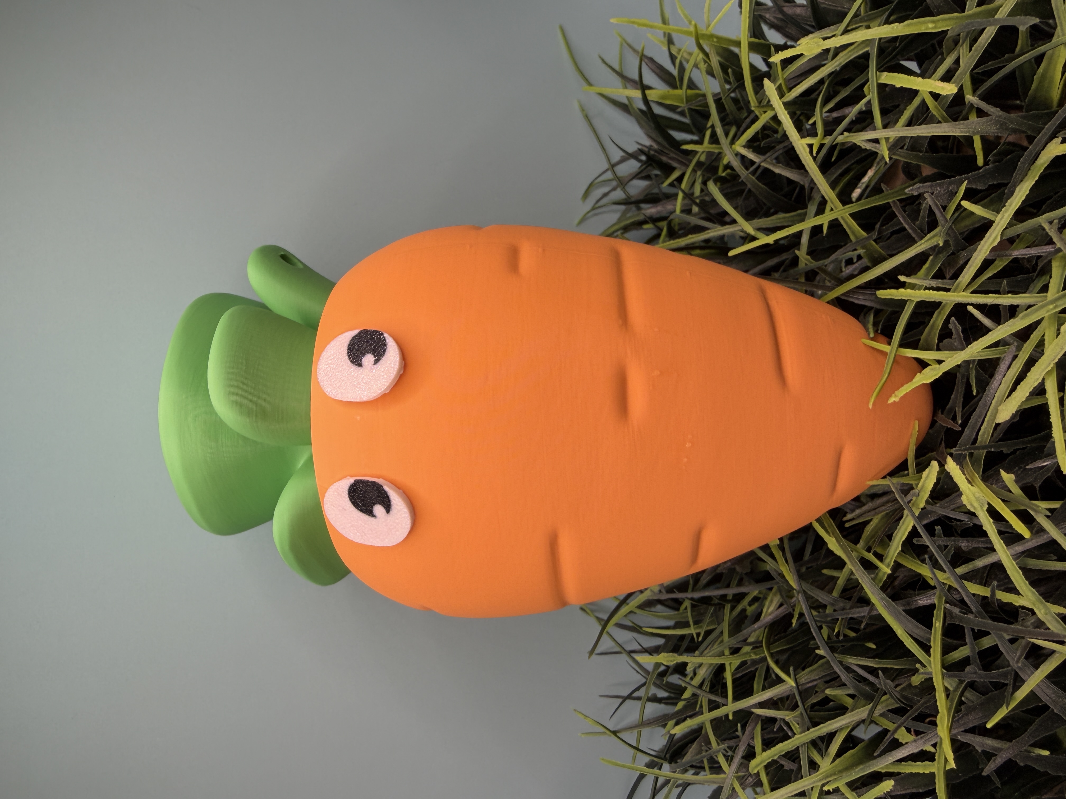 Cute Carrot Container
