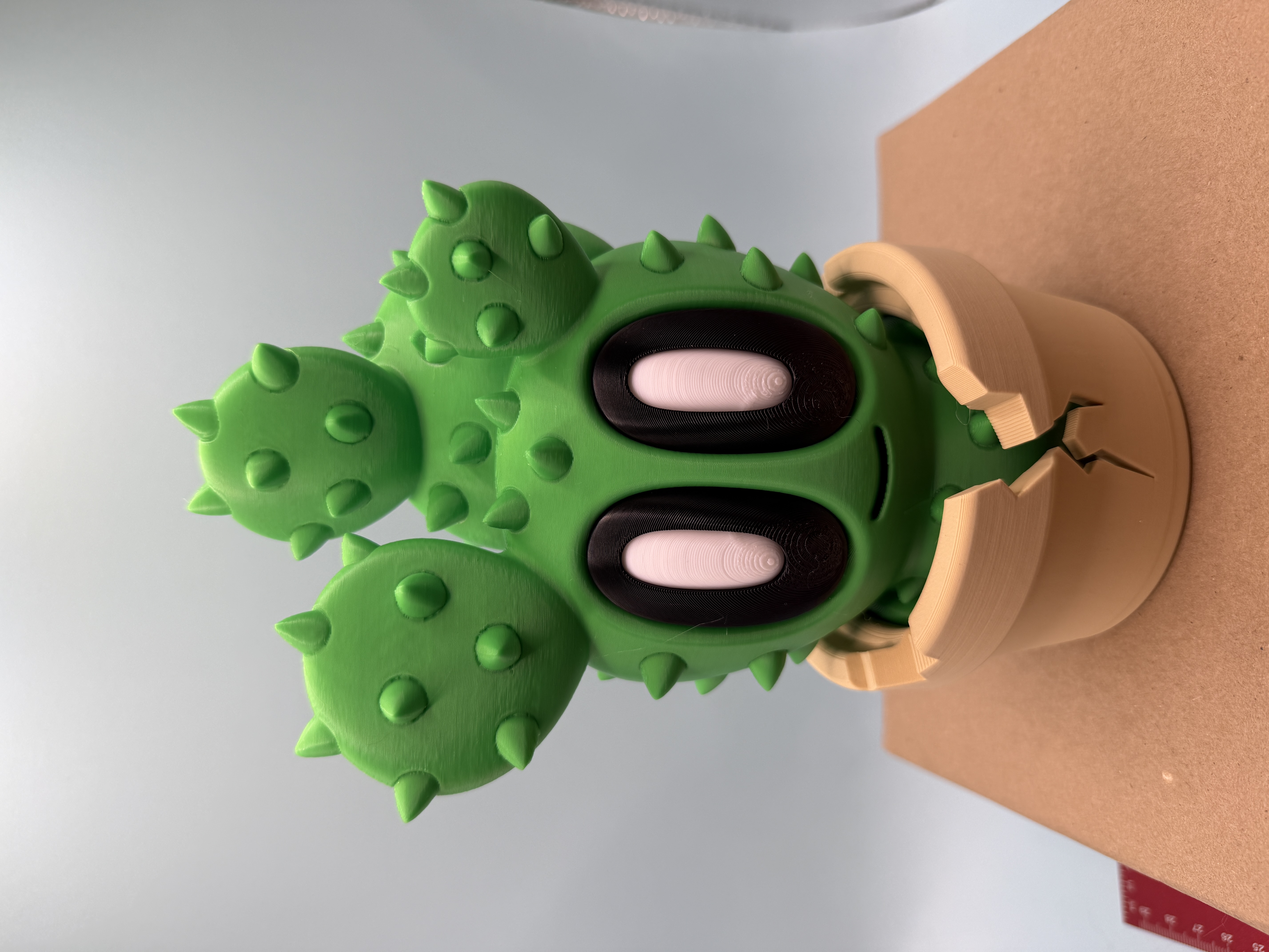 DESERT SERIES - PLANTS