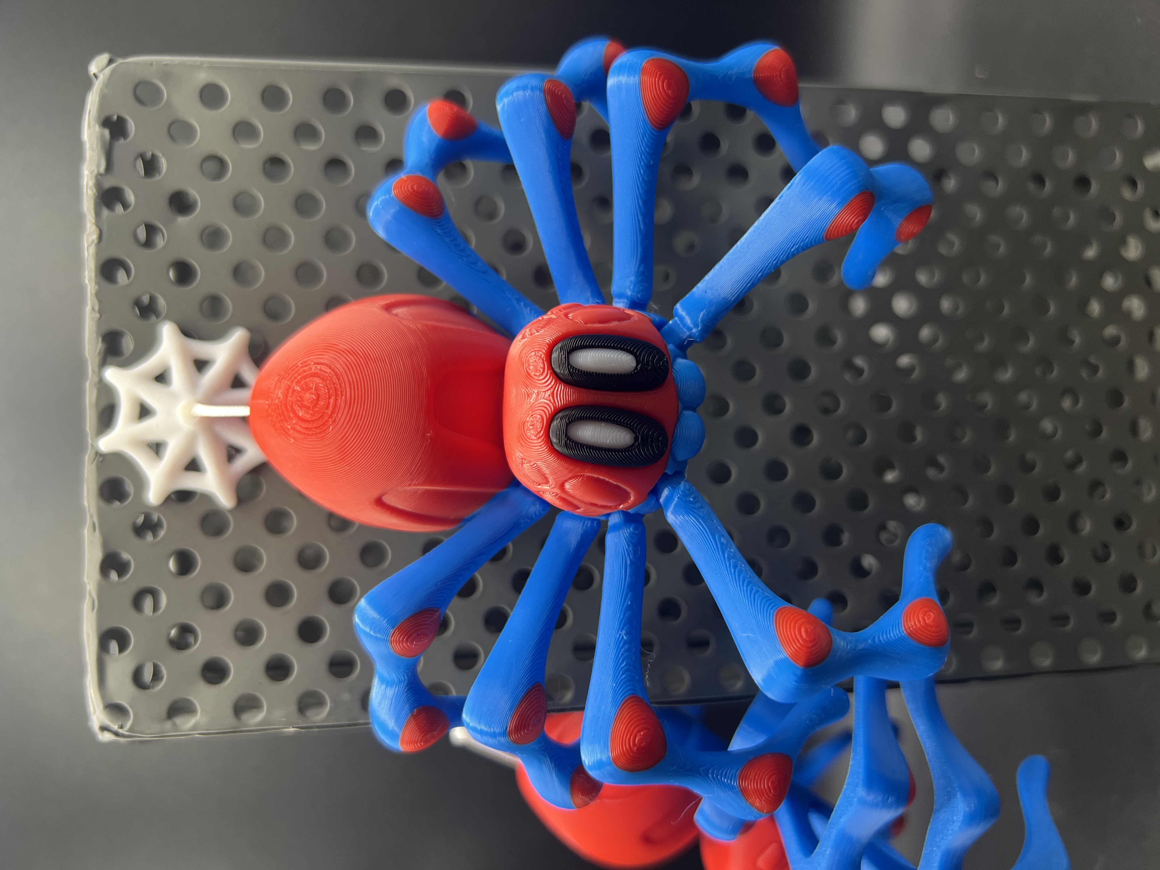 Spider with Magnetic Web