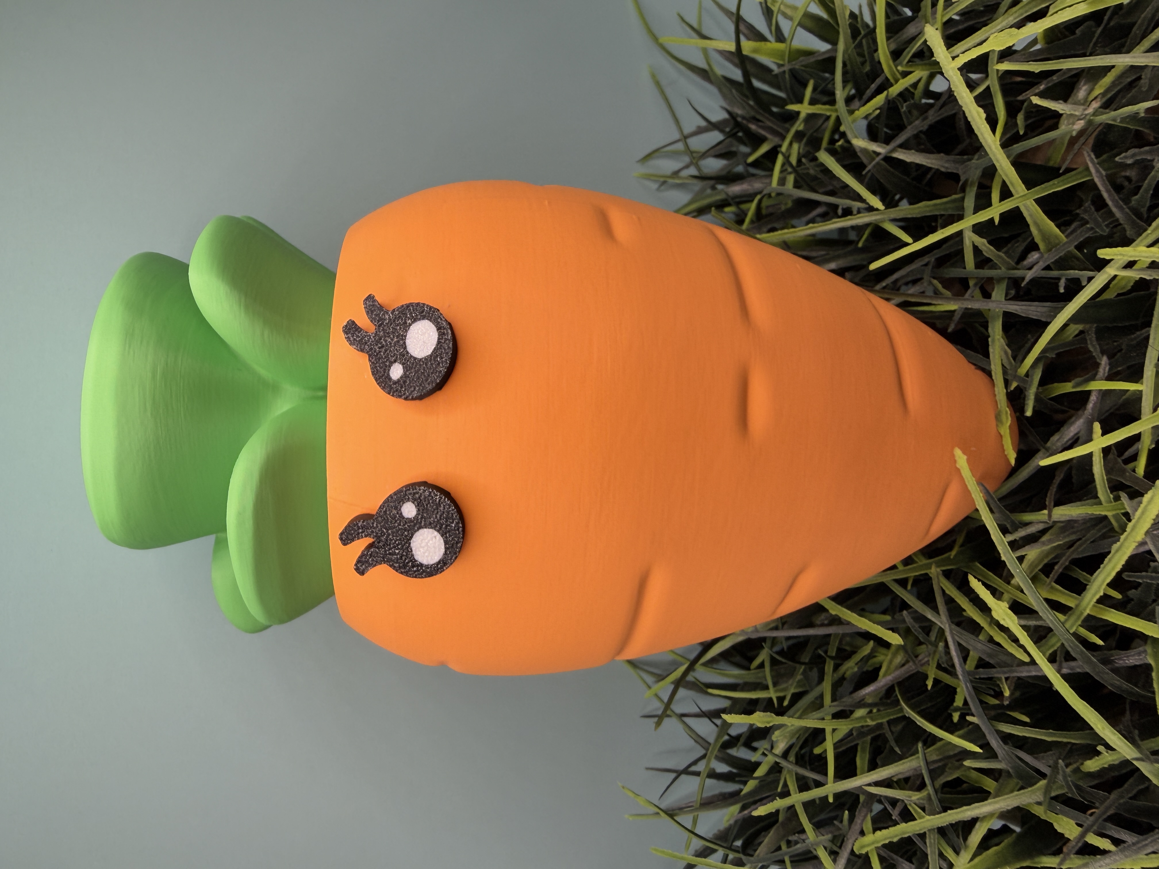 Cute Carrot Container