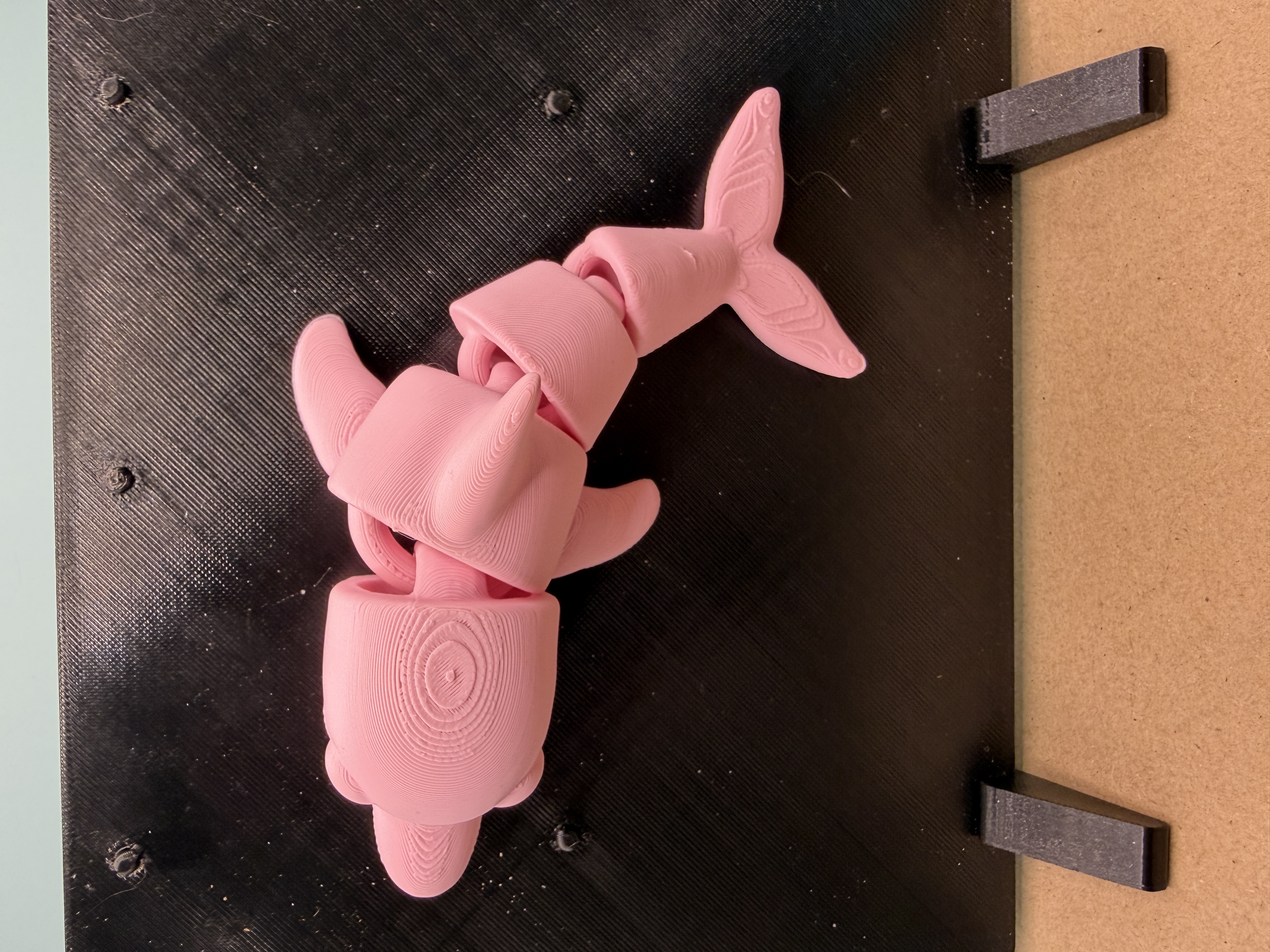 Articulated Pink Dolphin