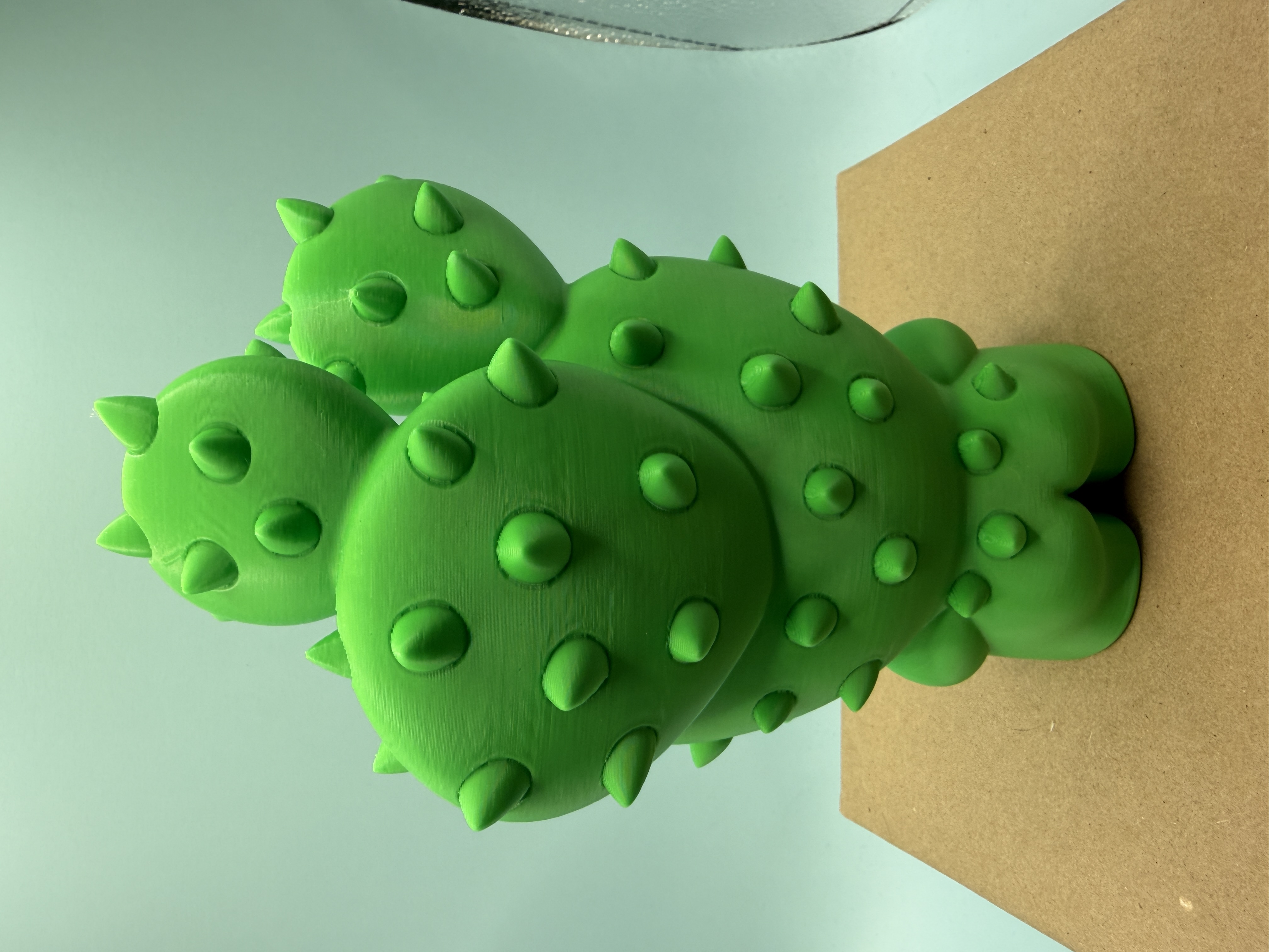 DESERT SERIES - PLANTS