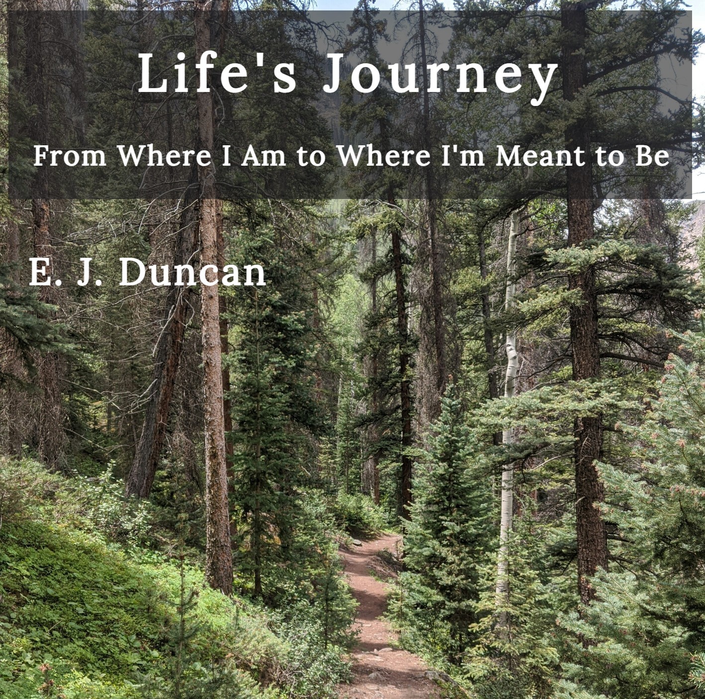 Life's Journey