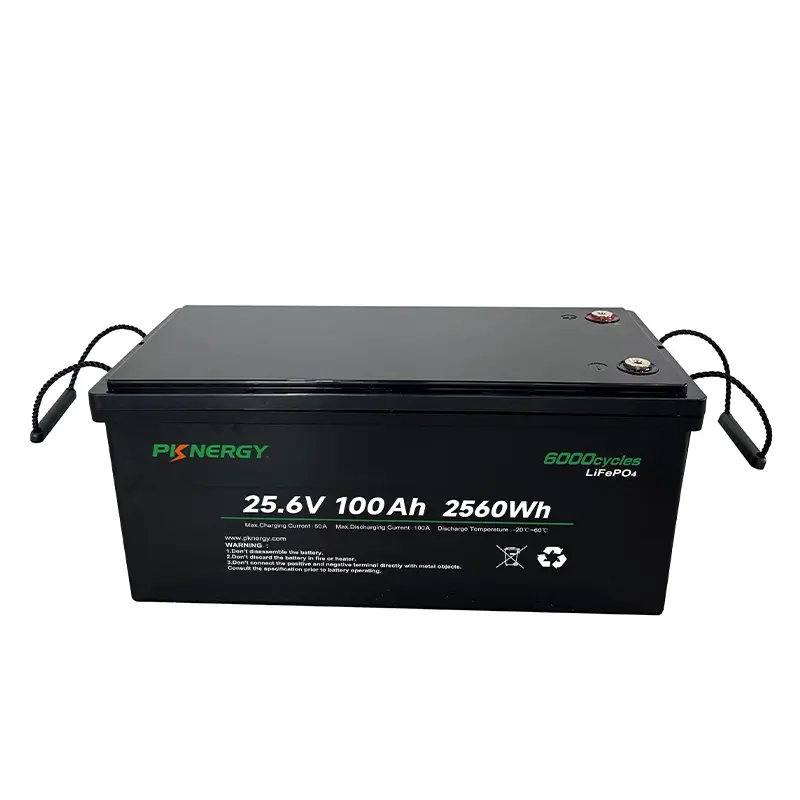 LiFePO4 Battery