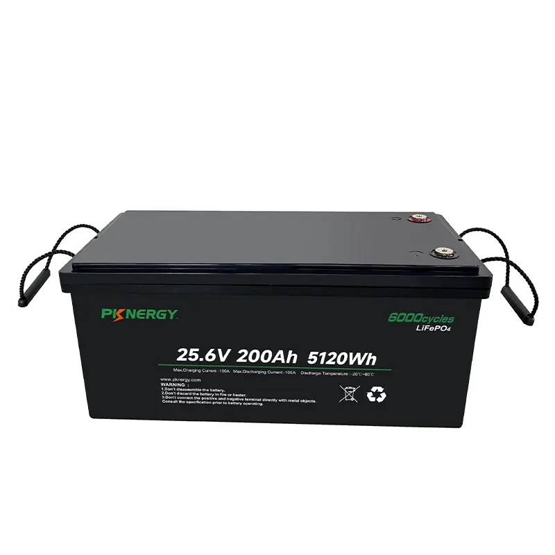 LiFePO4 Battery