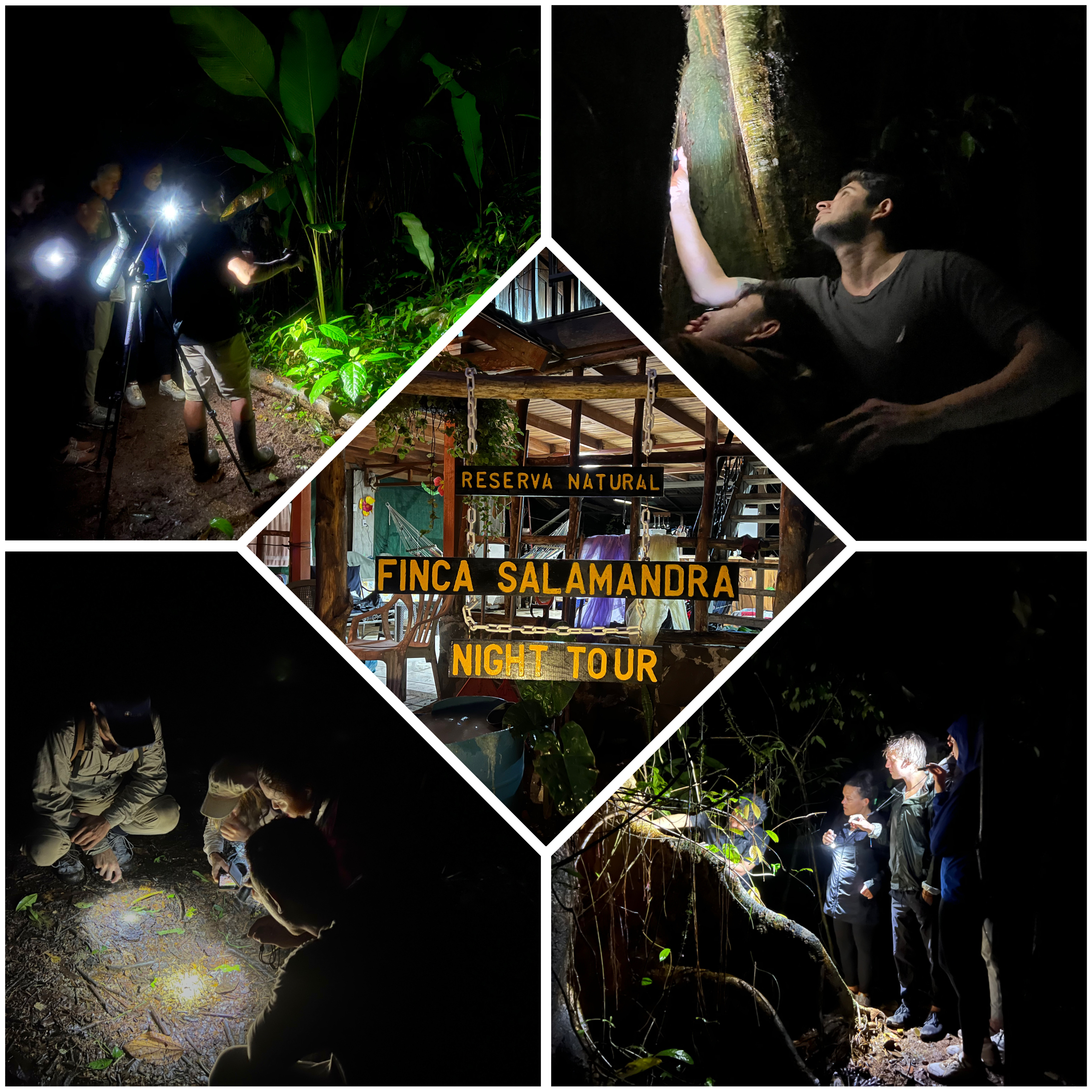Finca Salamandra Night Tour