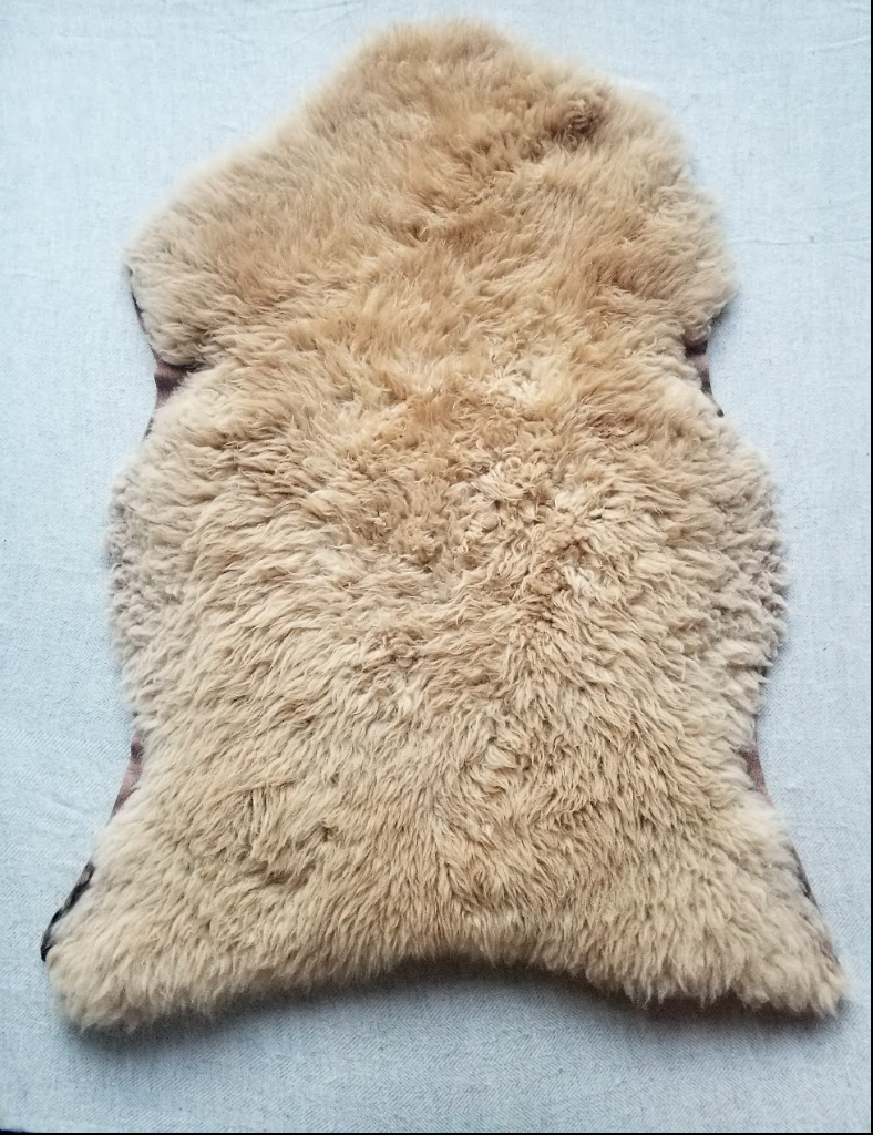 Sheepskin Rug: Champgne
