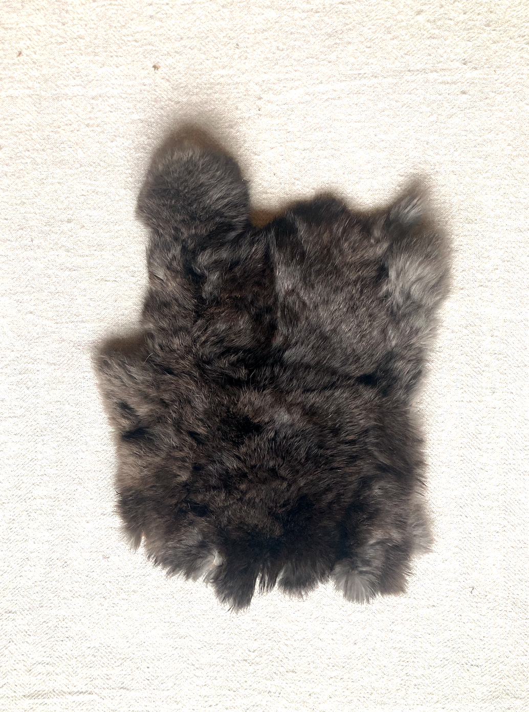 Rabbit skin