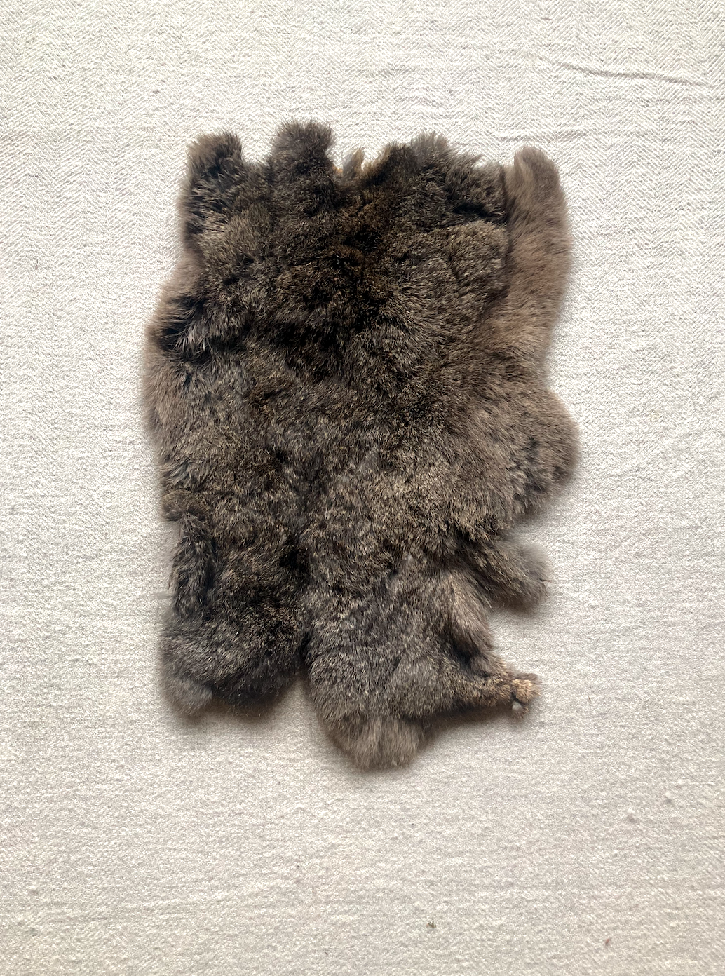 Rabbit skin