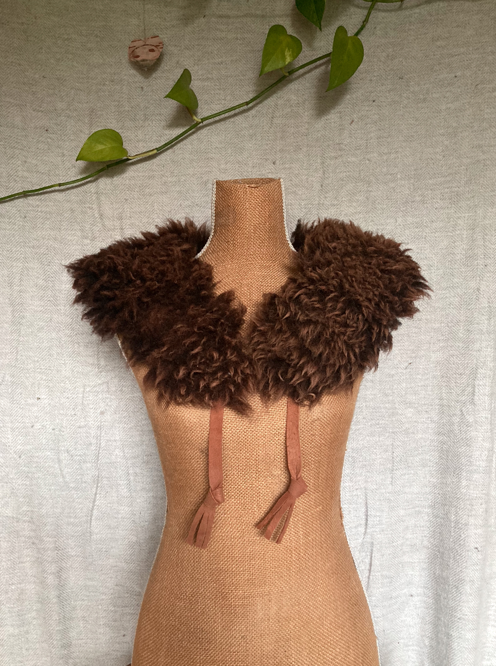 Lavish Sheep Hide Collar