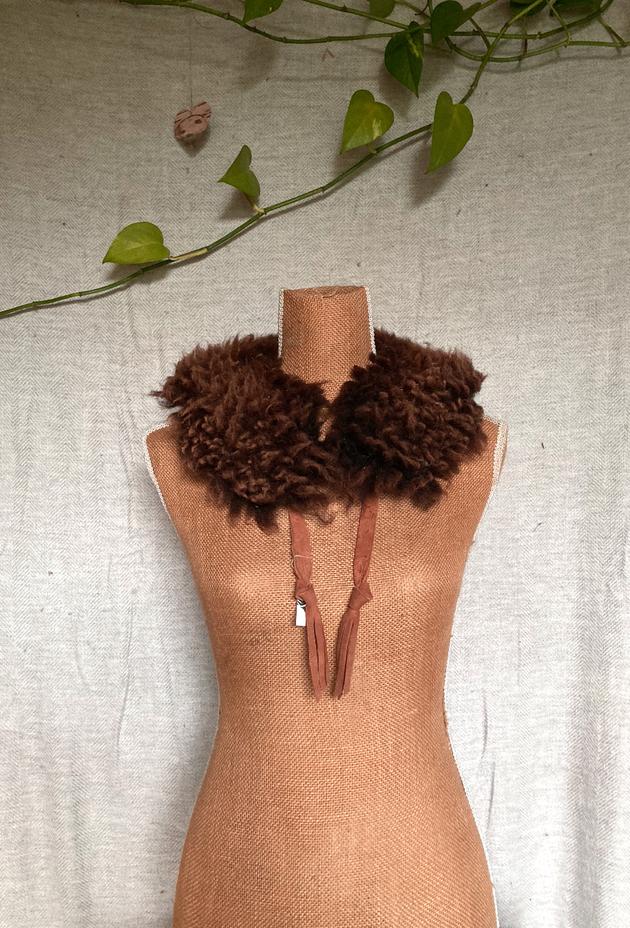 Cozy Sheep Hide Collar