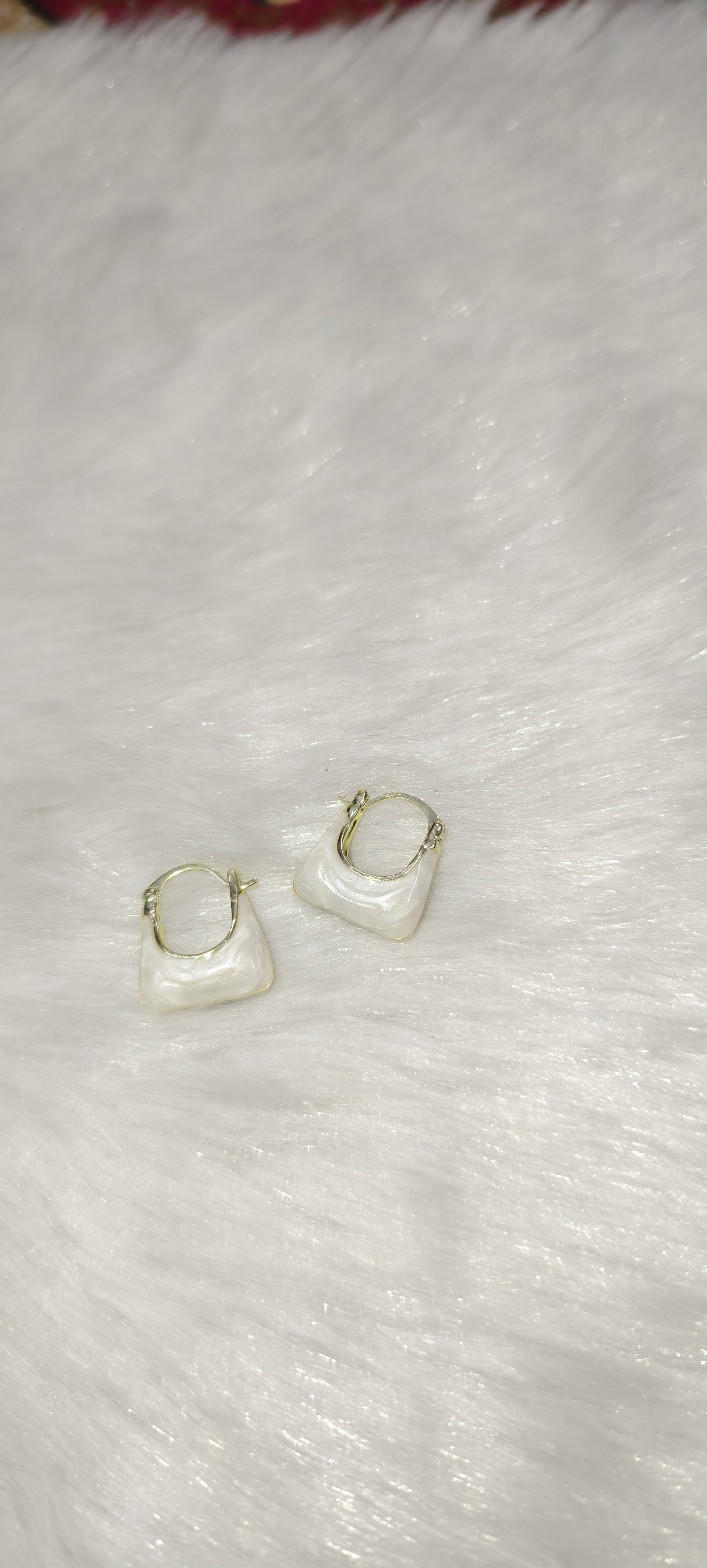 Fancy bag style Earrings