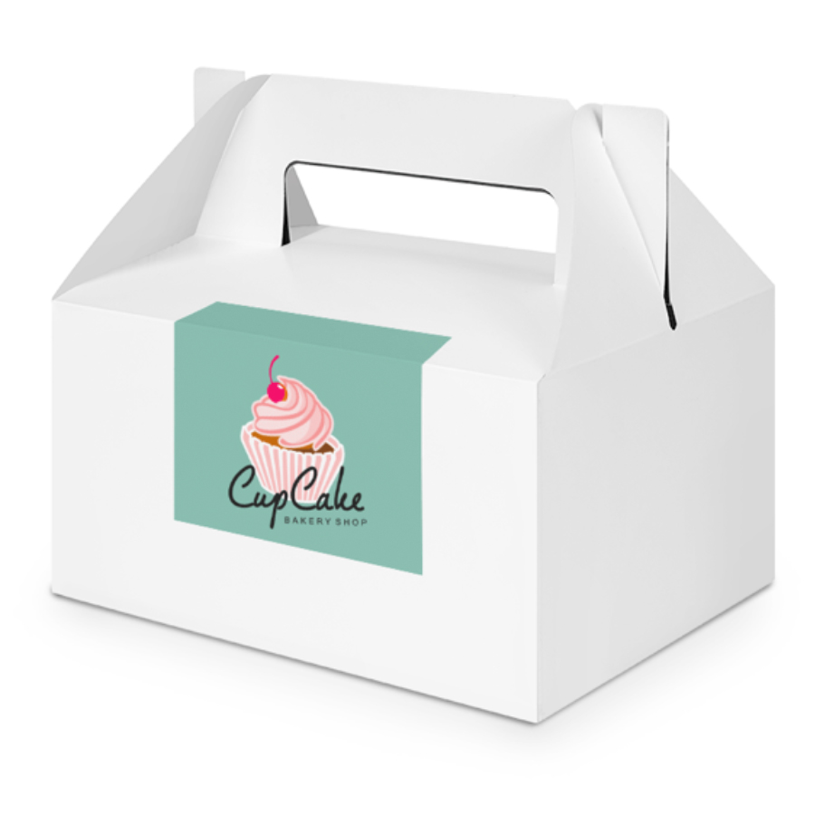 Adhesivos Rectangulares 10 x 21 cm