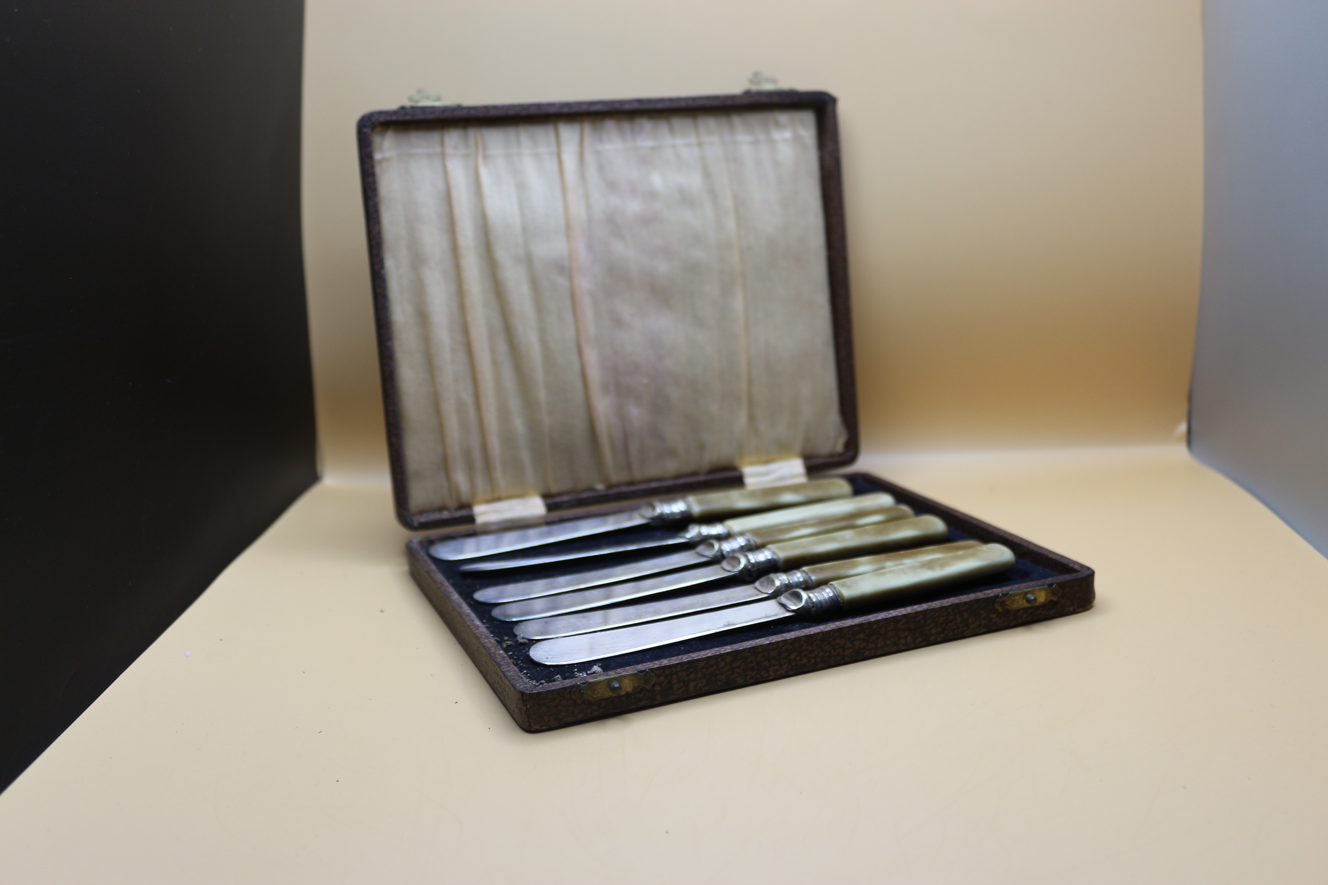 Antique Butter Knife Set in Case Original 1920's ~ Bone Handle