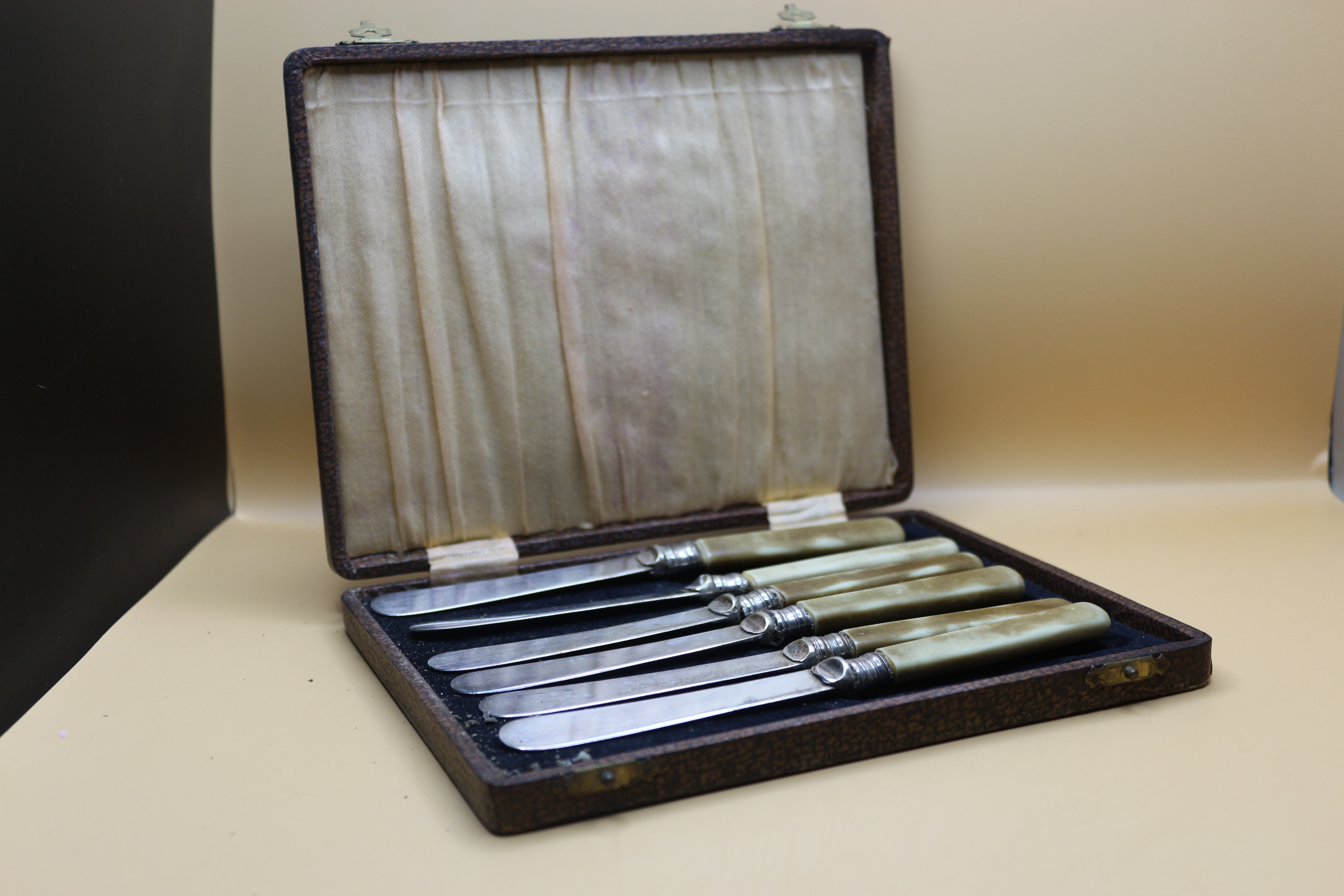 Antique Butter Knife Set in Case Original 1920's ~ Bone Handle