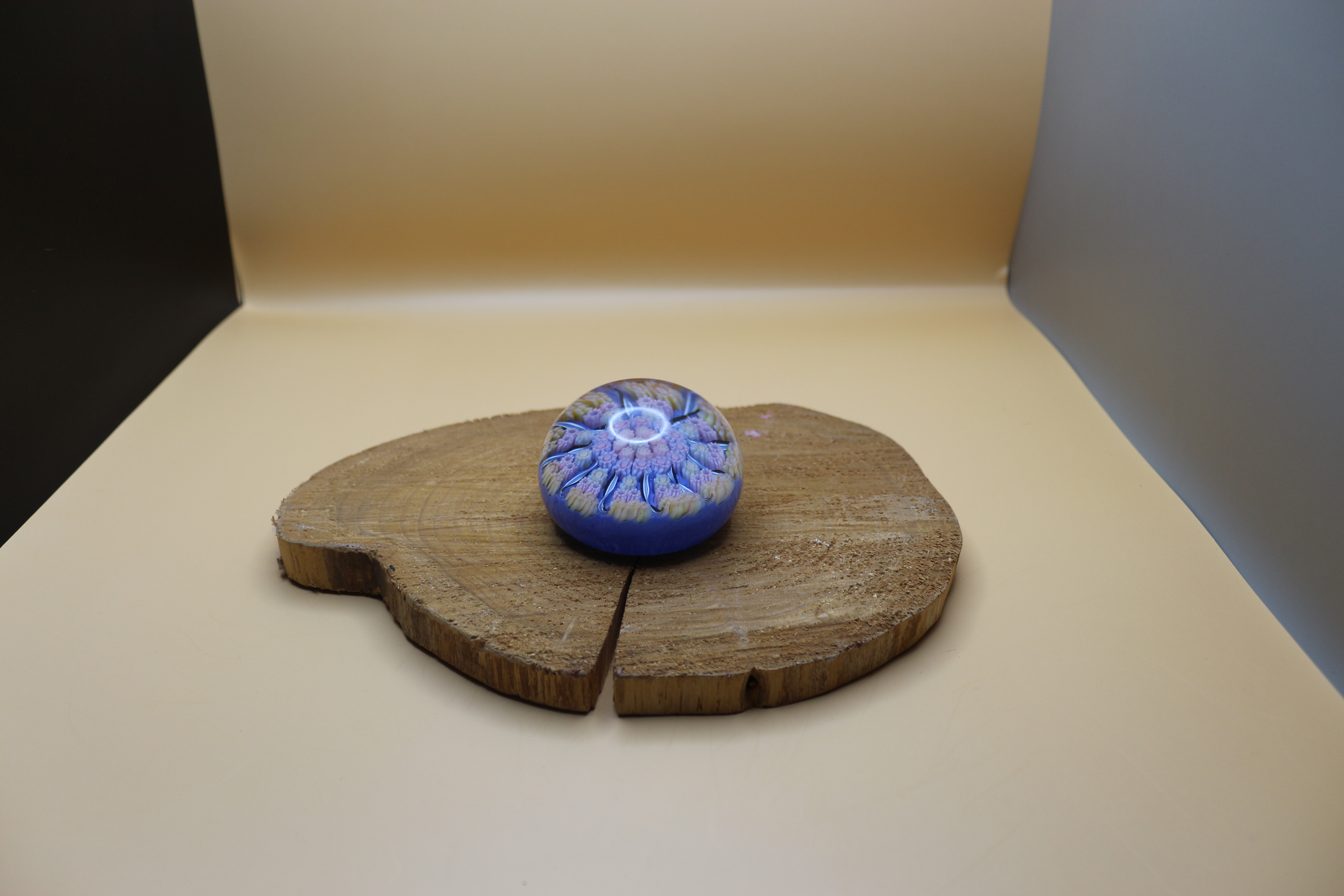 Perthshire 'Millefiori' Paperweight ~ Excellent Condition
