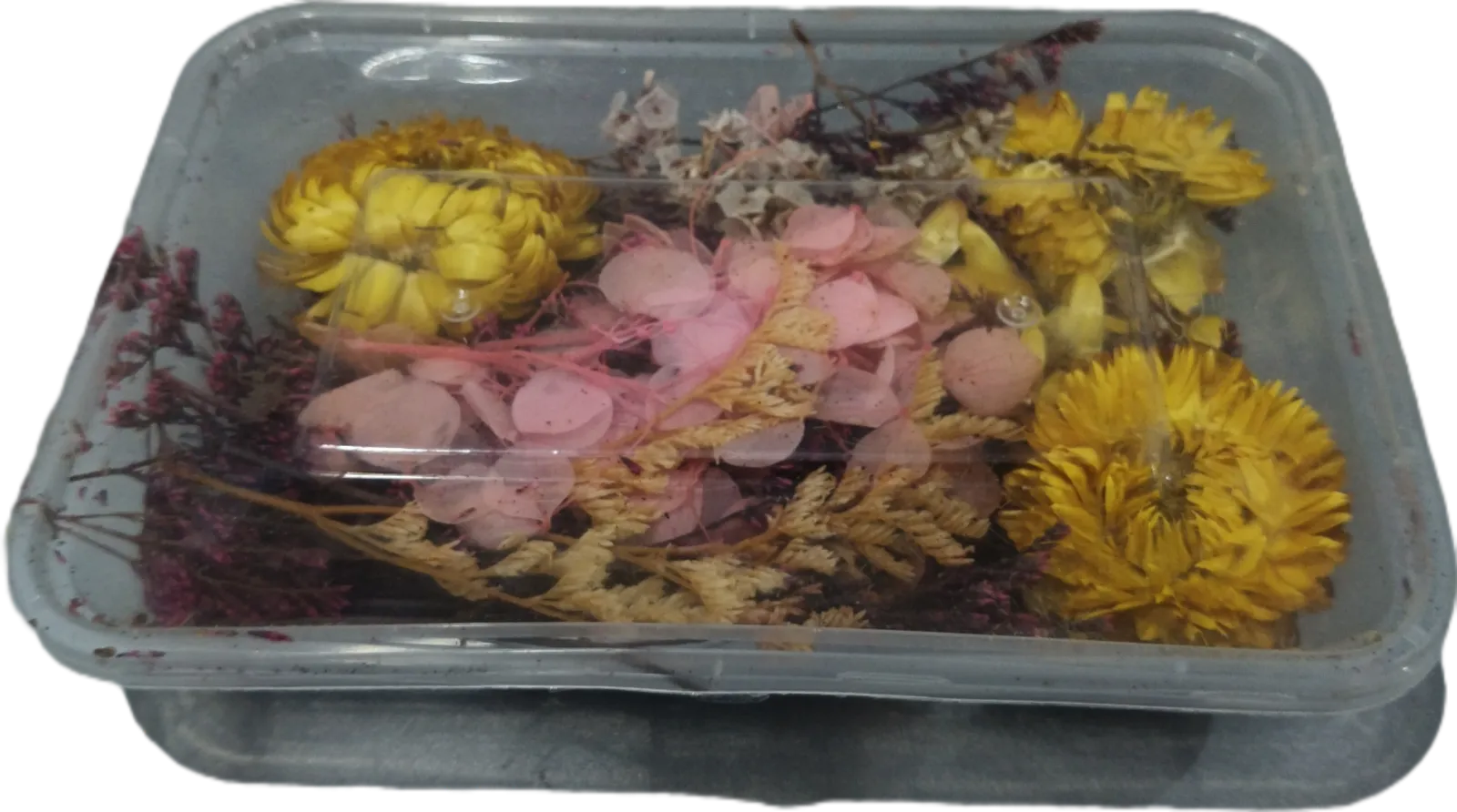 Resin Art - Elementary Kit