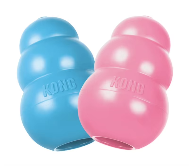 Jouet pour chien KONG