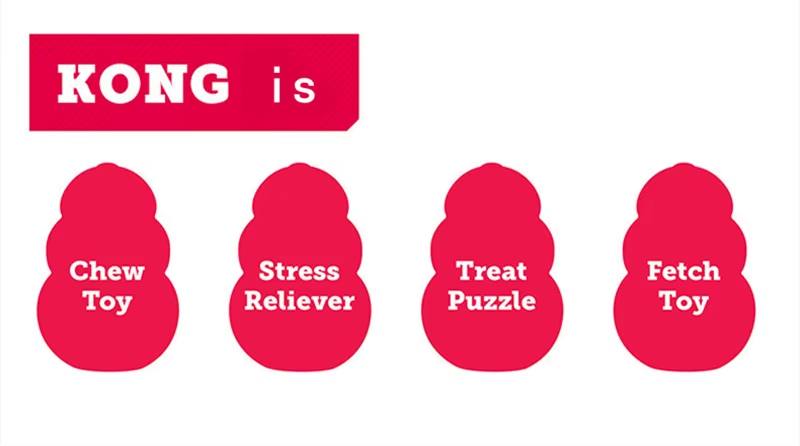 Jouet pour chien KONG