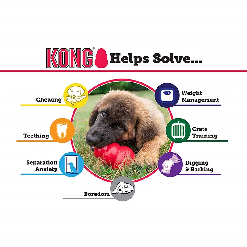 Jouet pour chien KONG