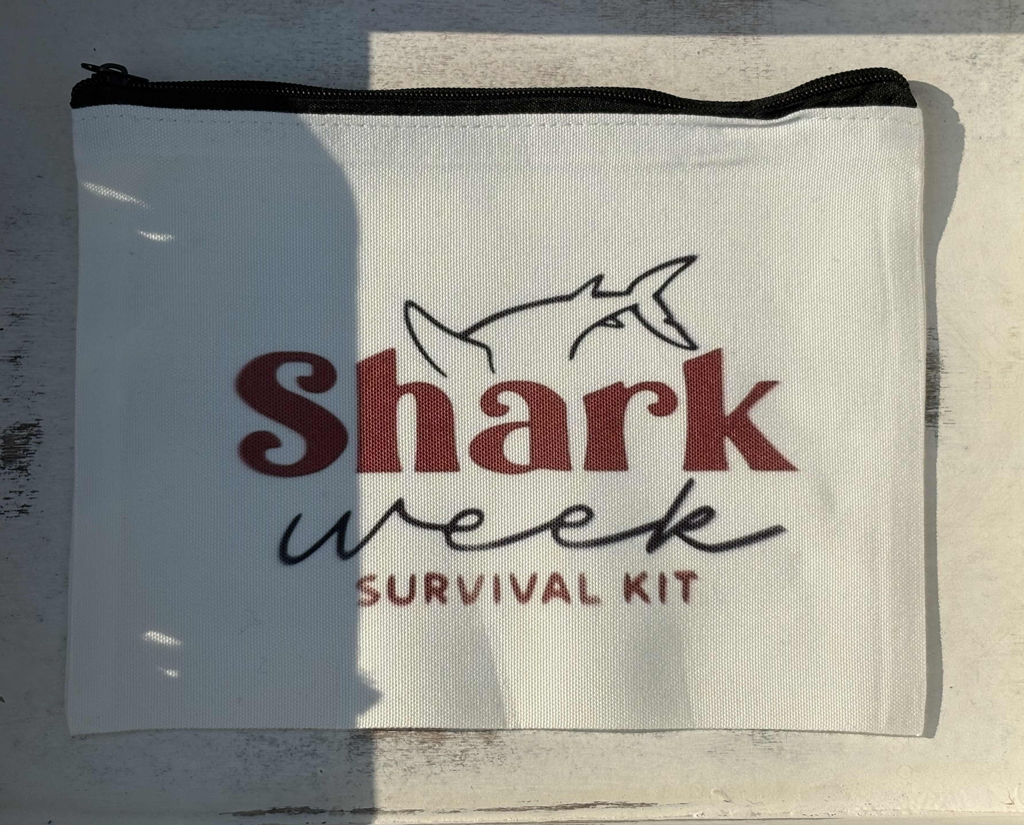 Small travel / makeup cases 