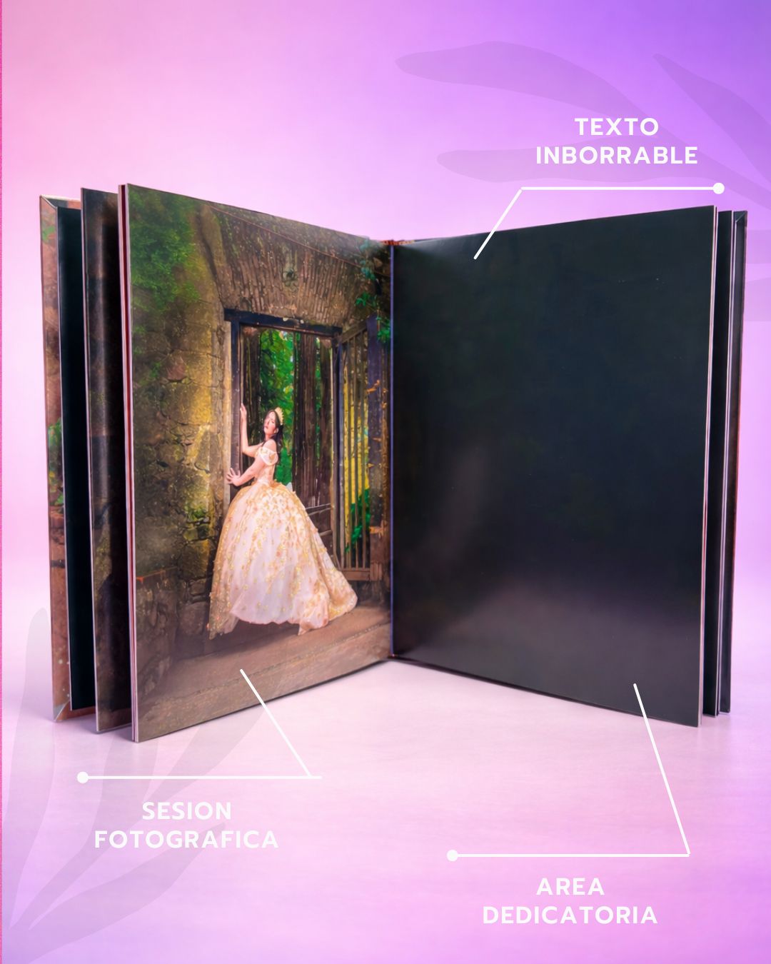 Libro de Firmas 10x16