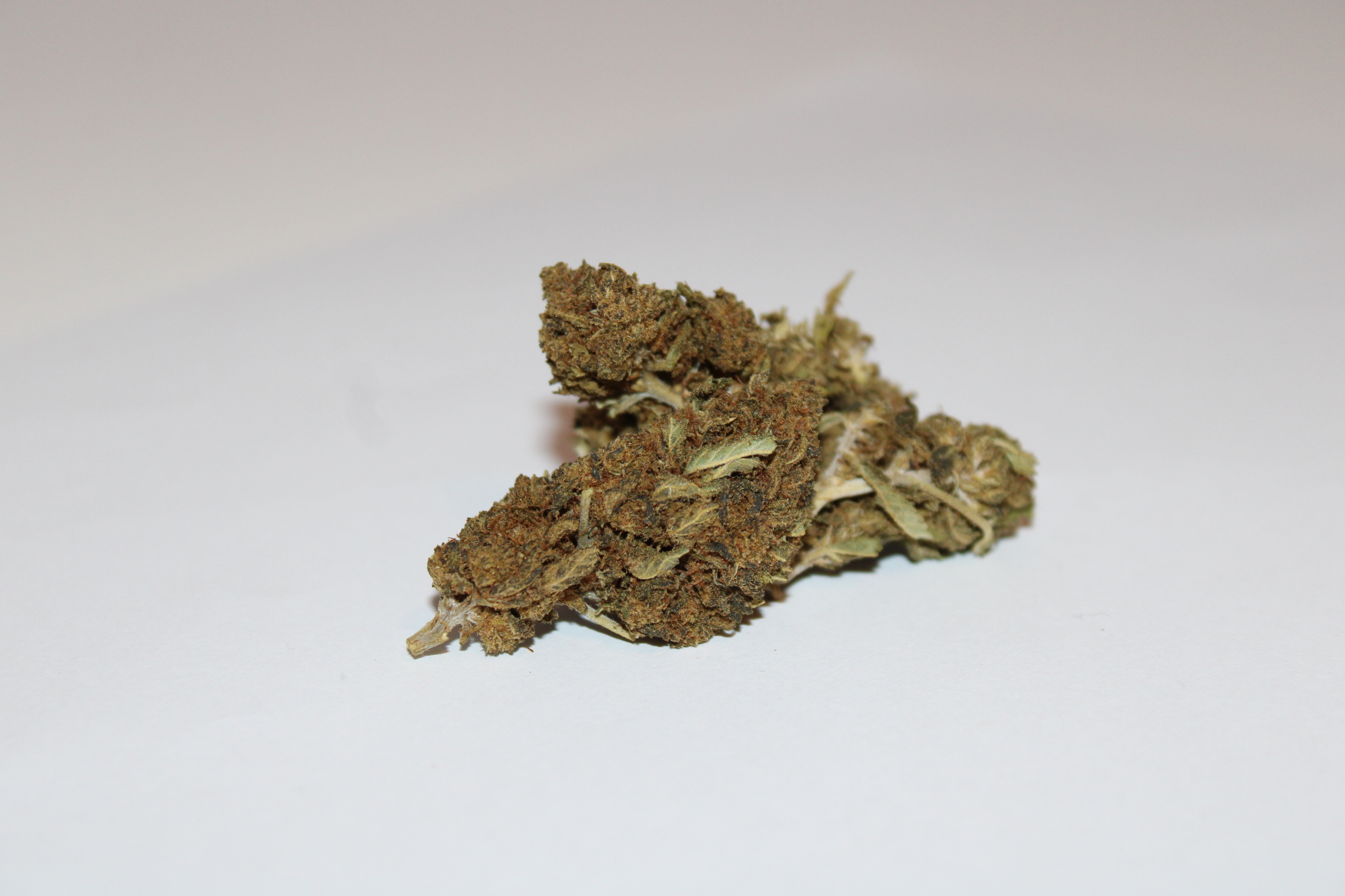 Harlequin CBD (1g-5g)