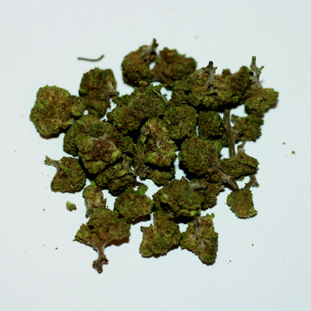 Mini Amnesia invernadero CBD (5g-20g)