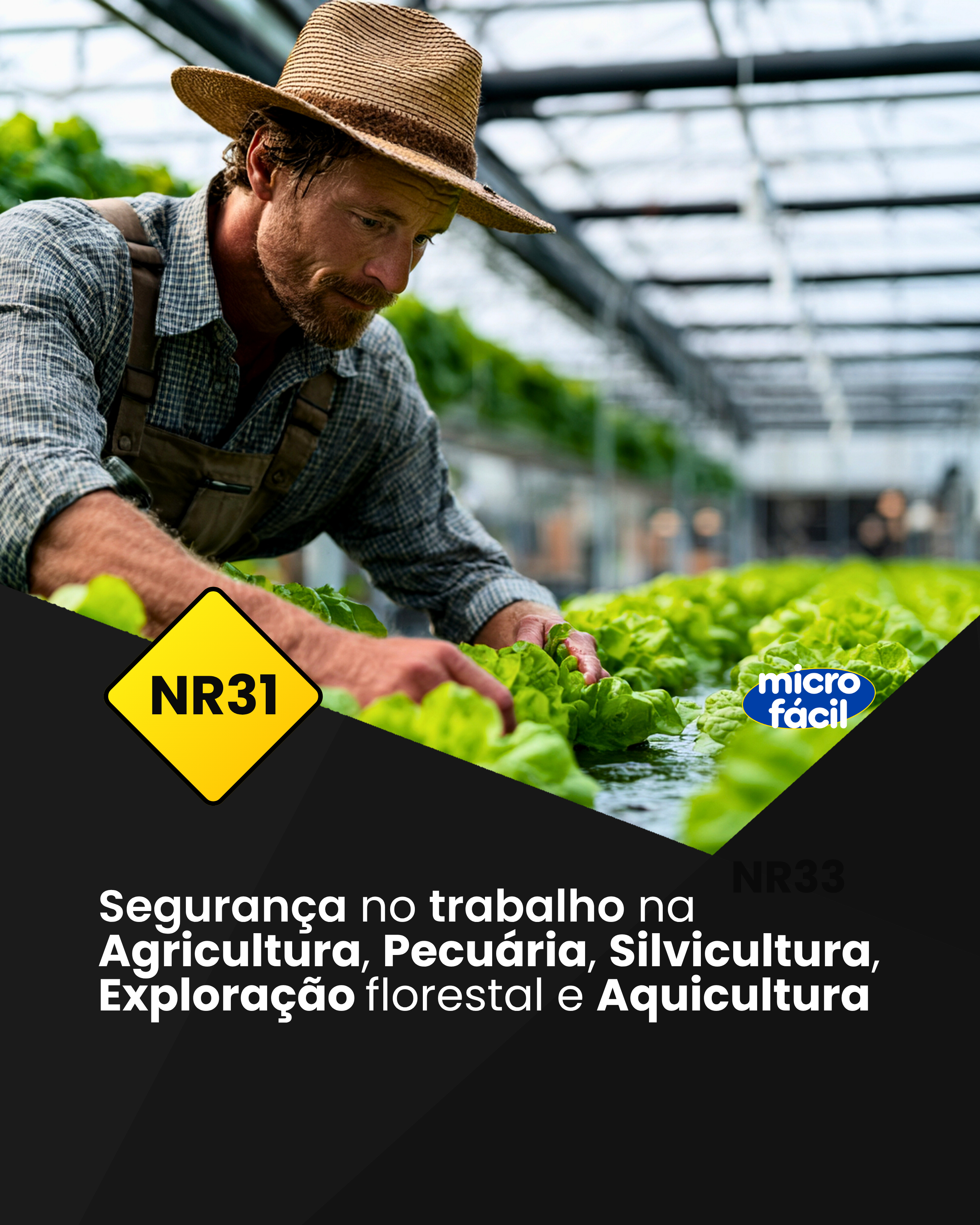 NR-31 – Segurança e Saúde no Trabalho na Agricultura, Pecuária, Silvicultura, Exploração Florestal e Aquicultura