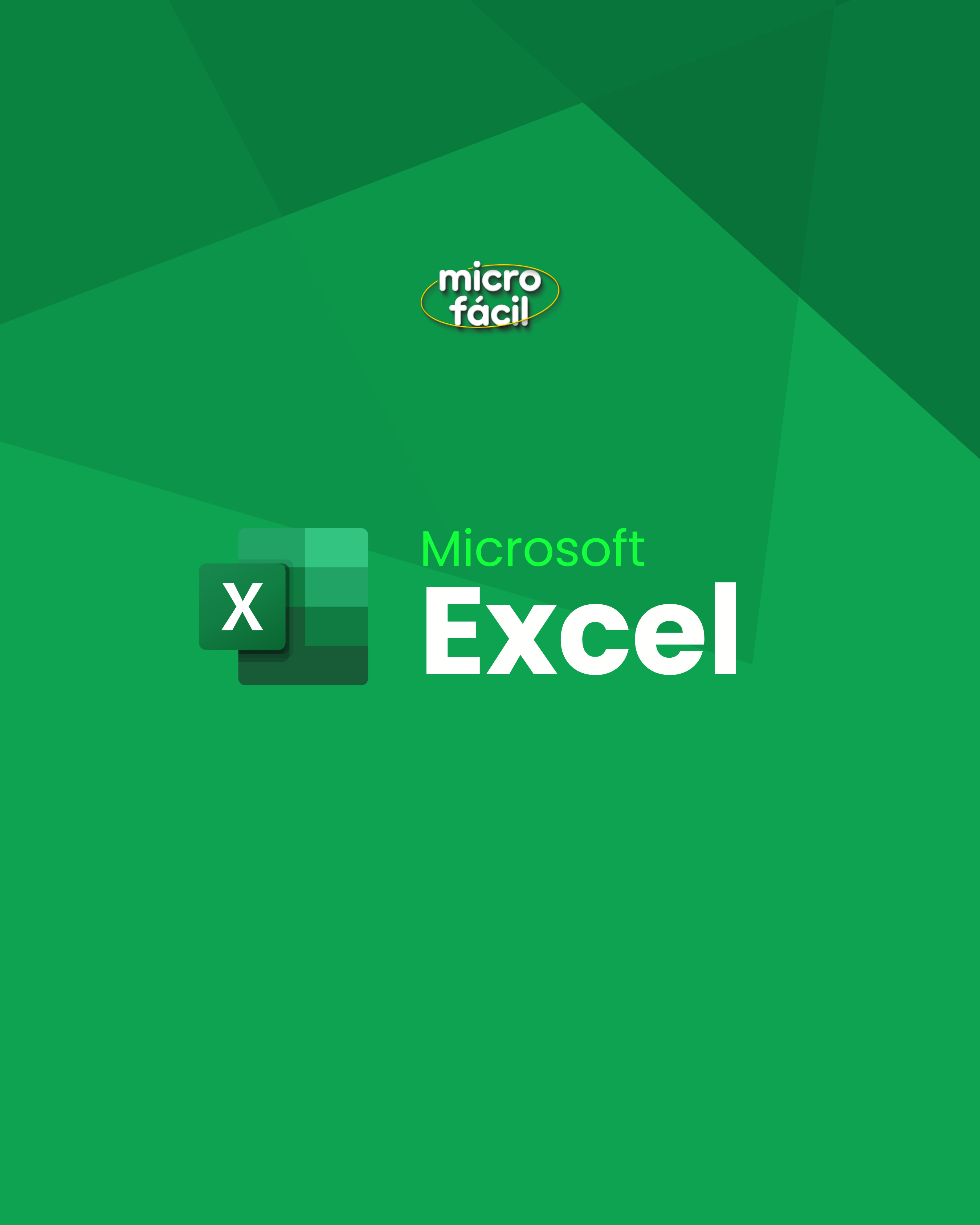 EXCEL