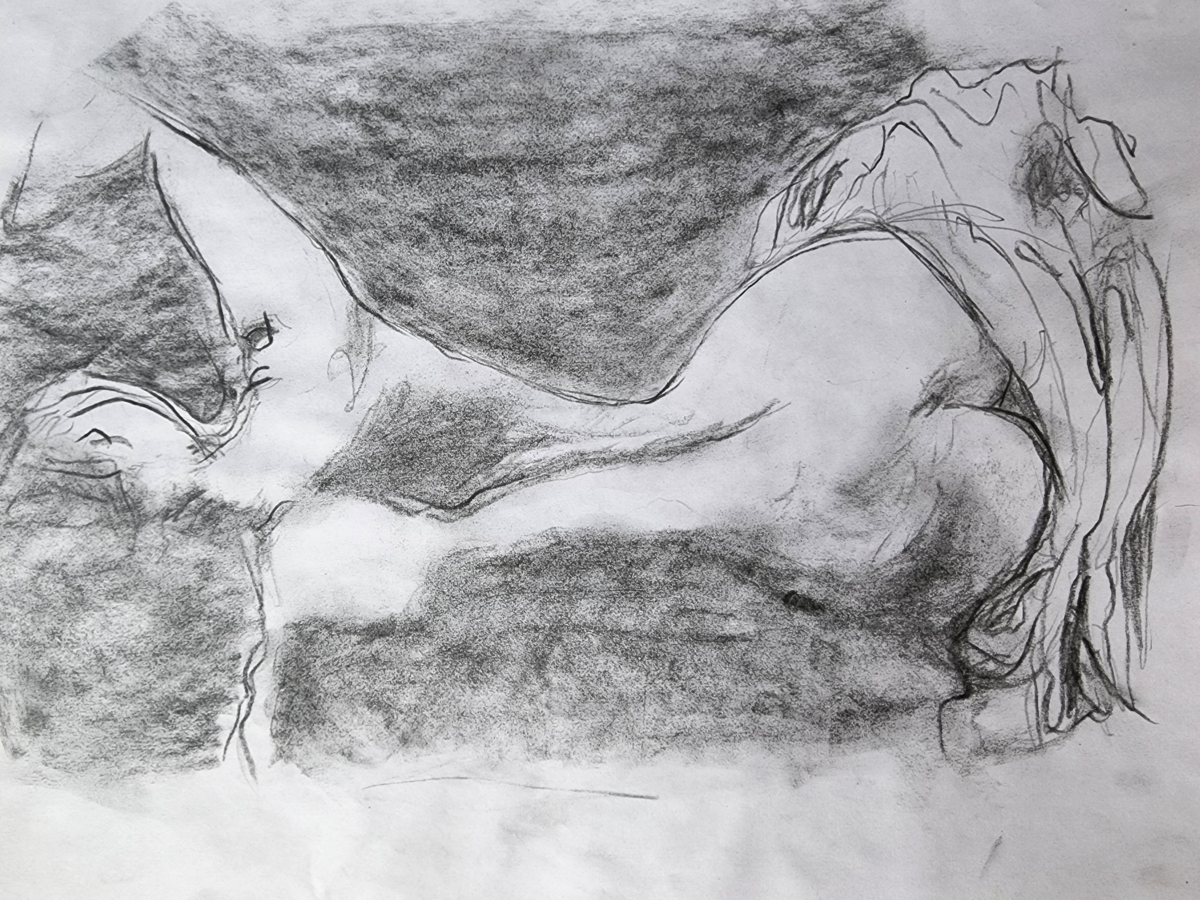 Expressive Charcoal Drawing of the Human Form 