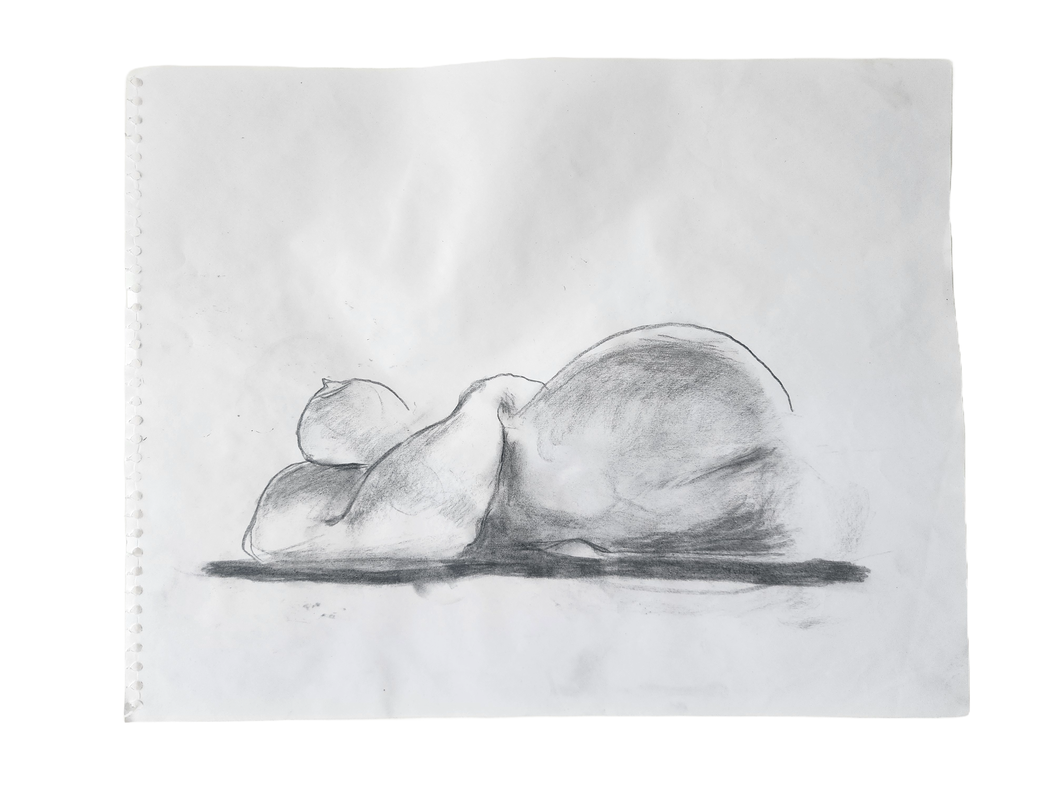 Abstract Figure Sketch